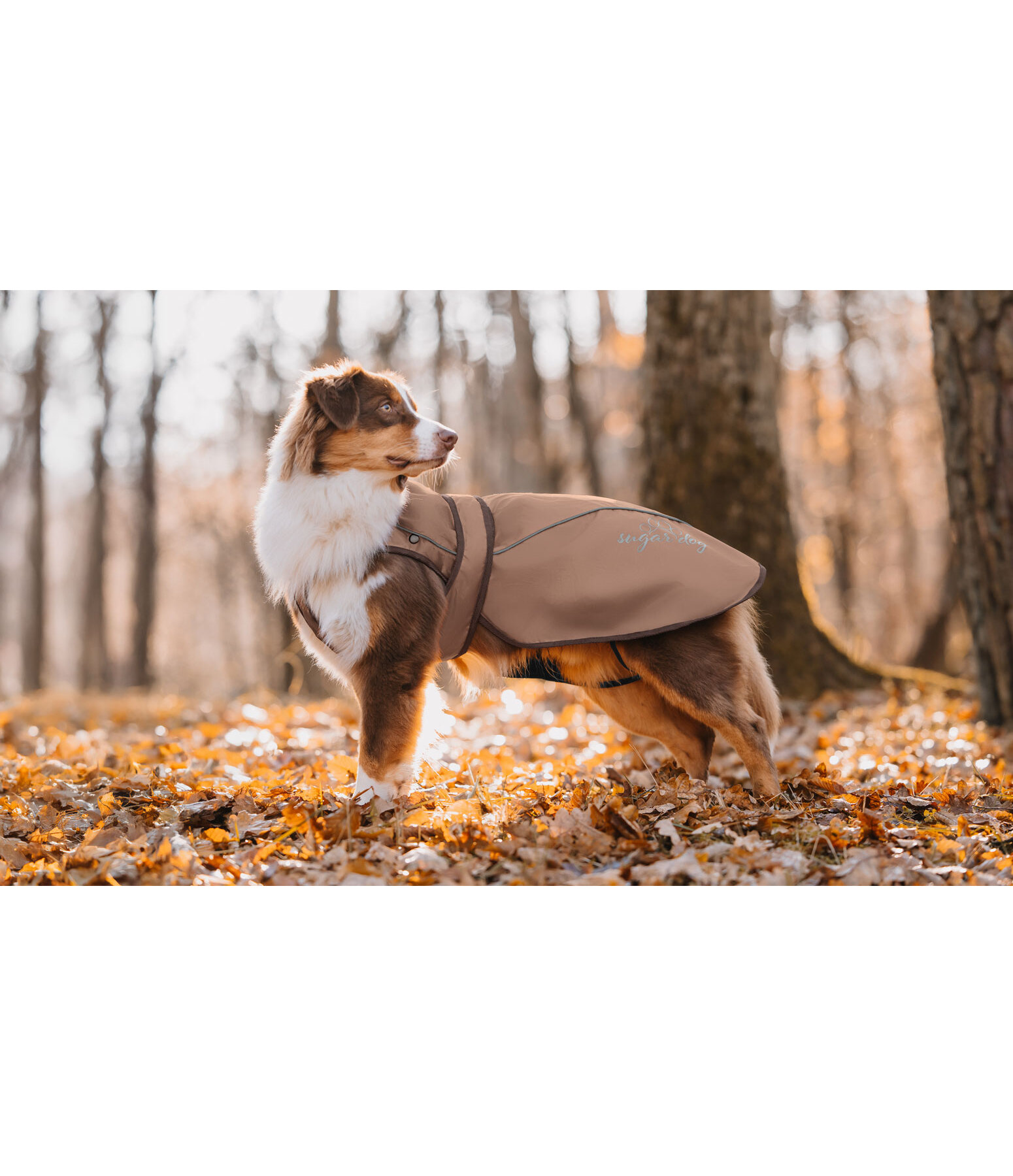 Nylon-Hundemantel Ally 2 in 1