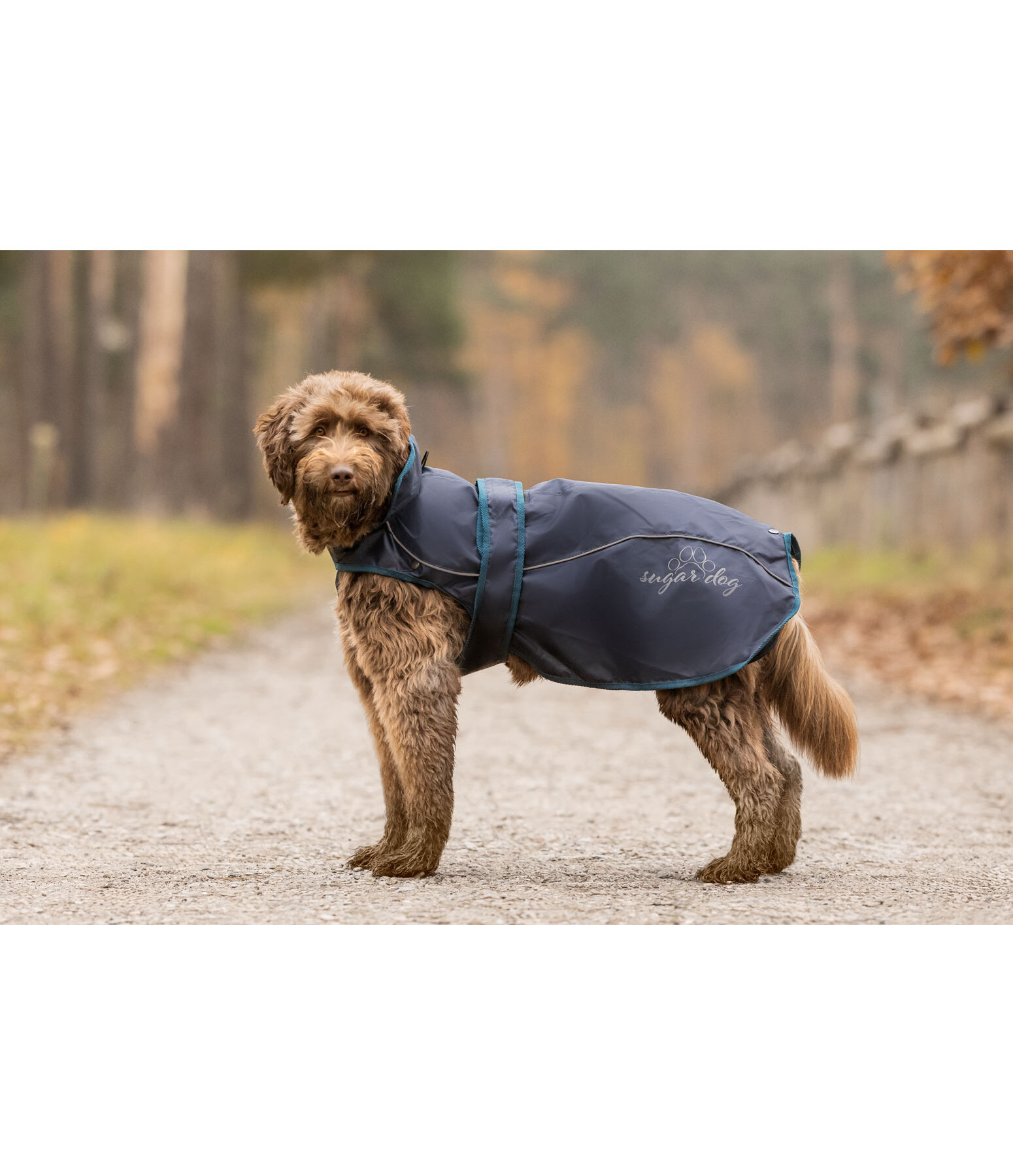 Nylon-Hundemantel Ally 2 in 1