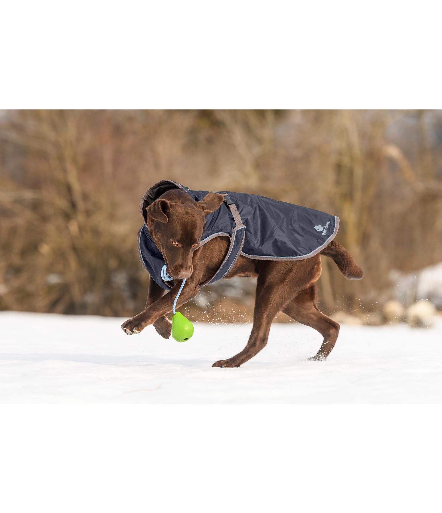 Hunde Regenmantel Eldoro II mit Fleeceinnenfutter Felix Bühler