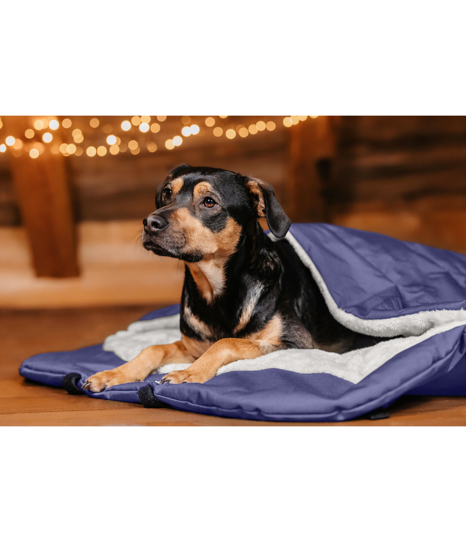 Hunde Schlafsack Sirius