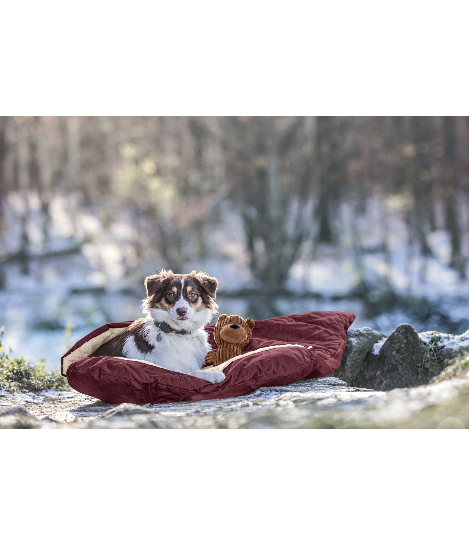 Hunde Schlafsack Sirius