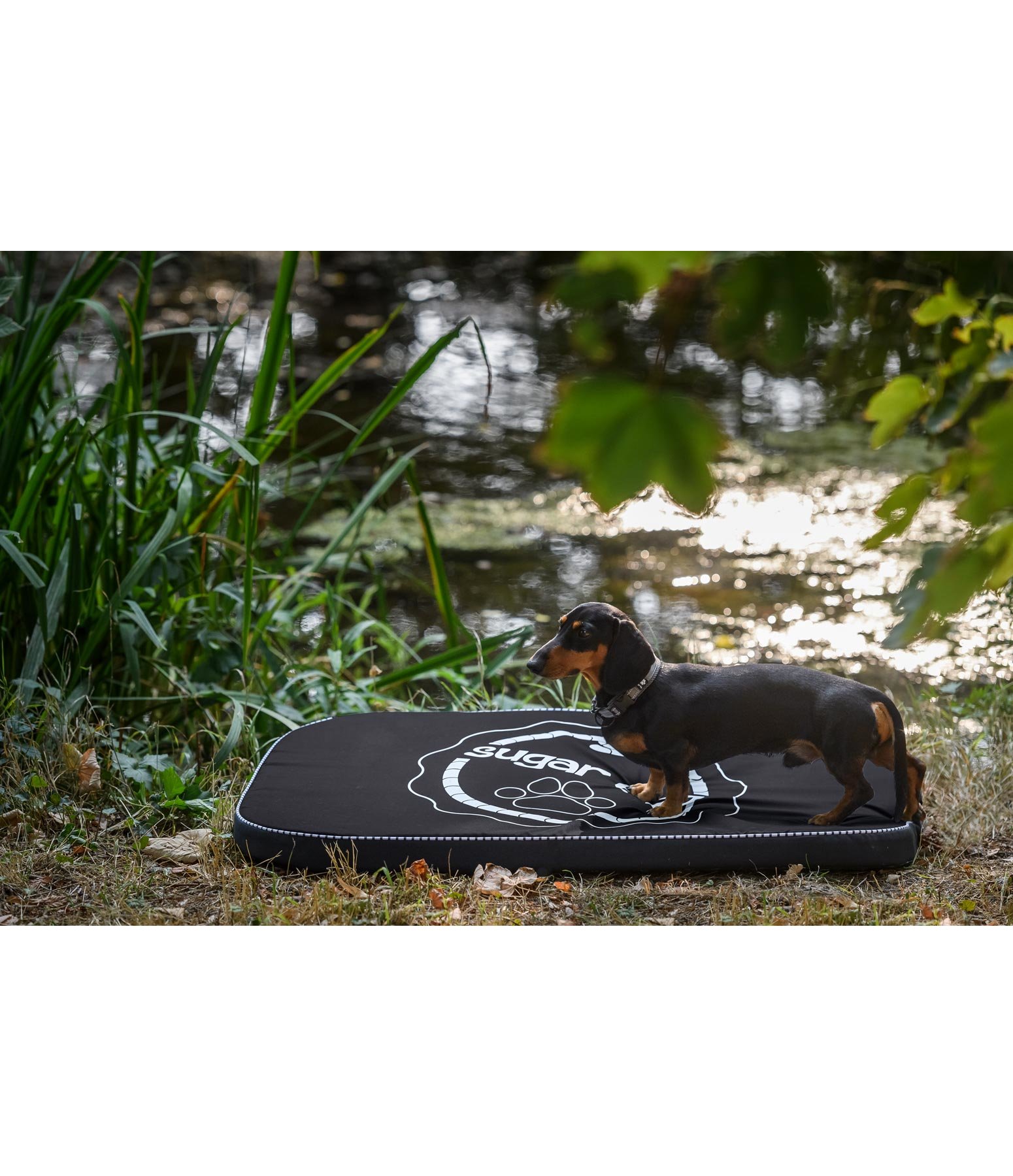 HundeLiegematte Ebbe mit MemorySchaum Felix Bühler