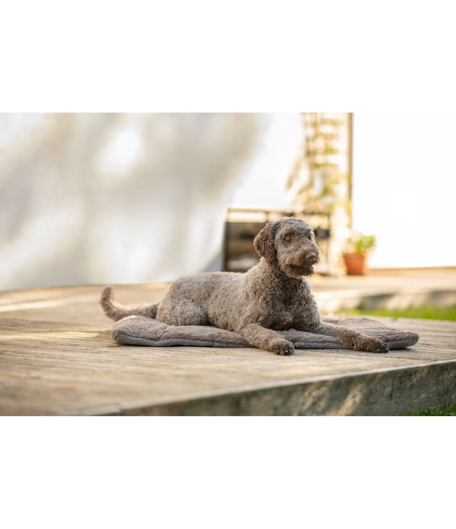 Hunde-Liegedecke Let Me Sleep