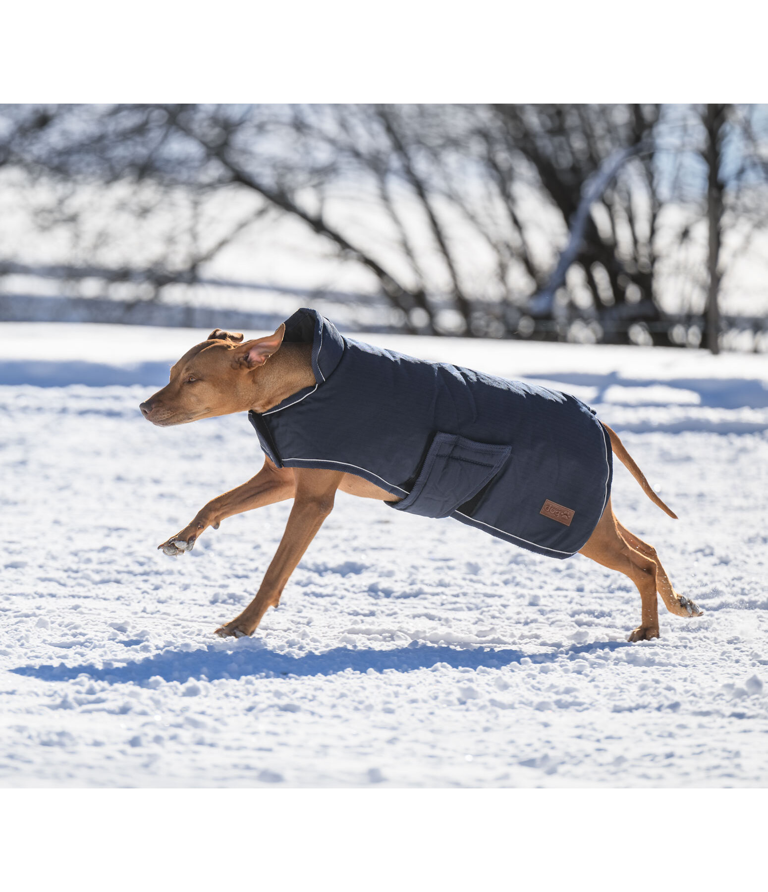 Winter-Hundemantel Beaver Creek, 400 g