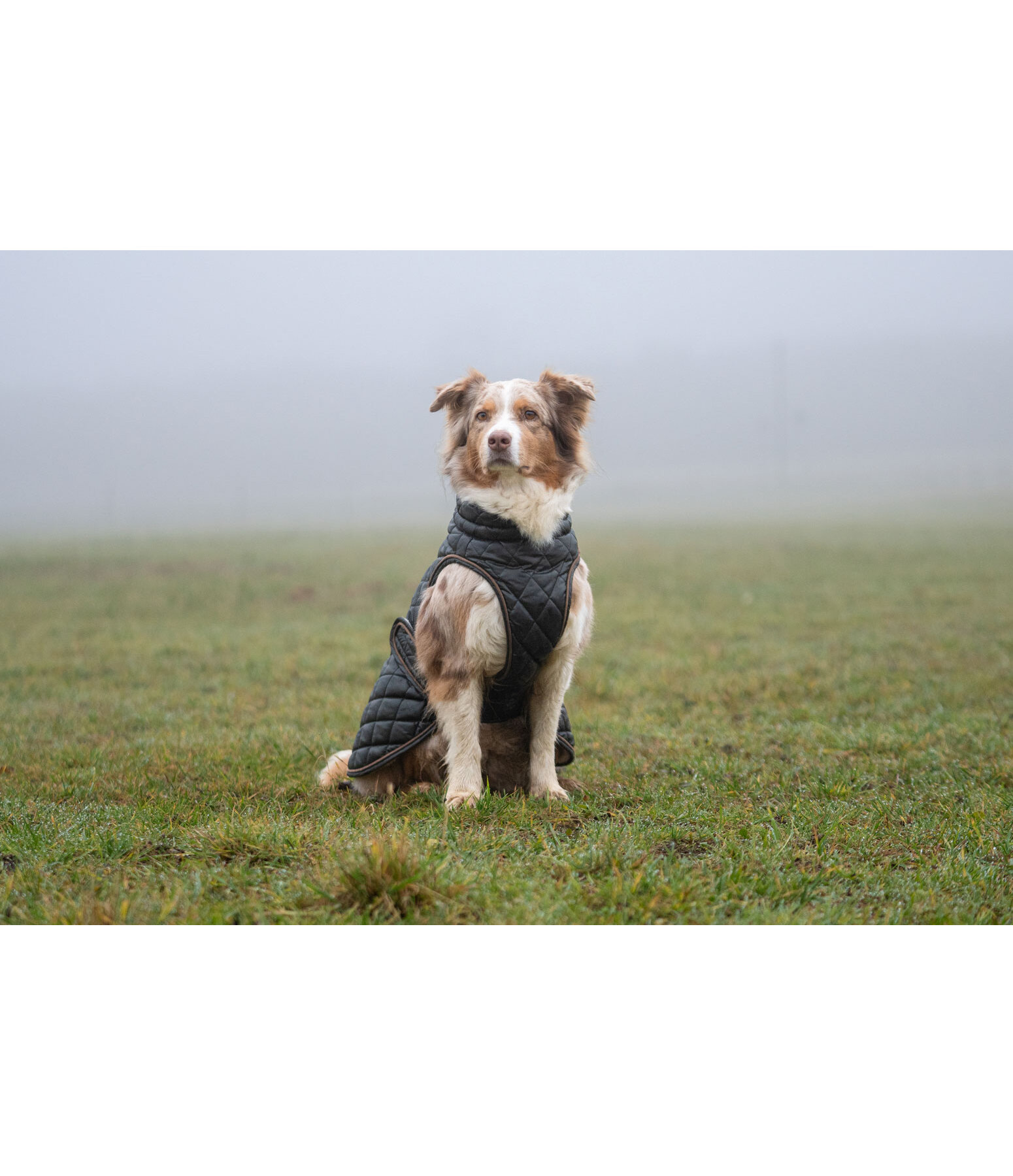 Hundemantel Archie mit Teddyfleece-Innenfutter, 160 g