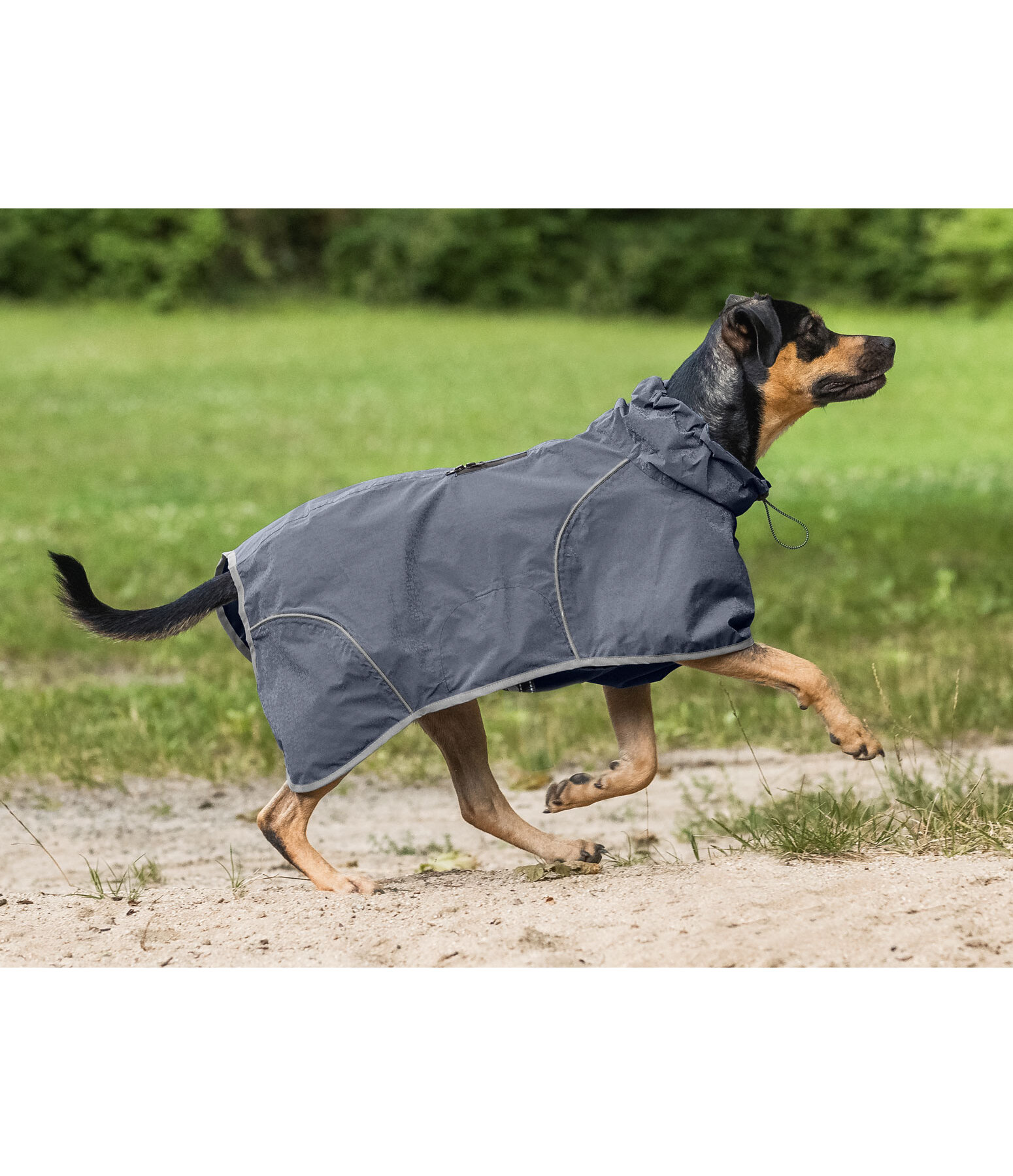 Stitch Regenmantel Für Hunde - Blau & Wasserdicht