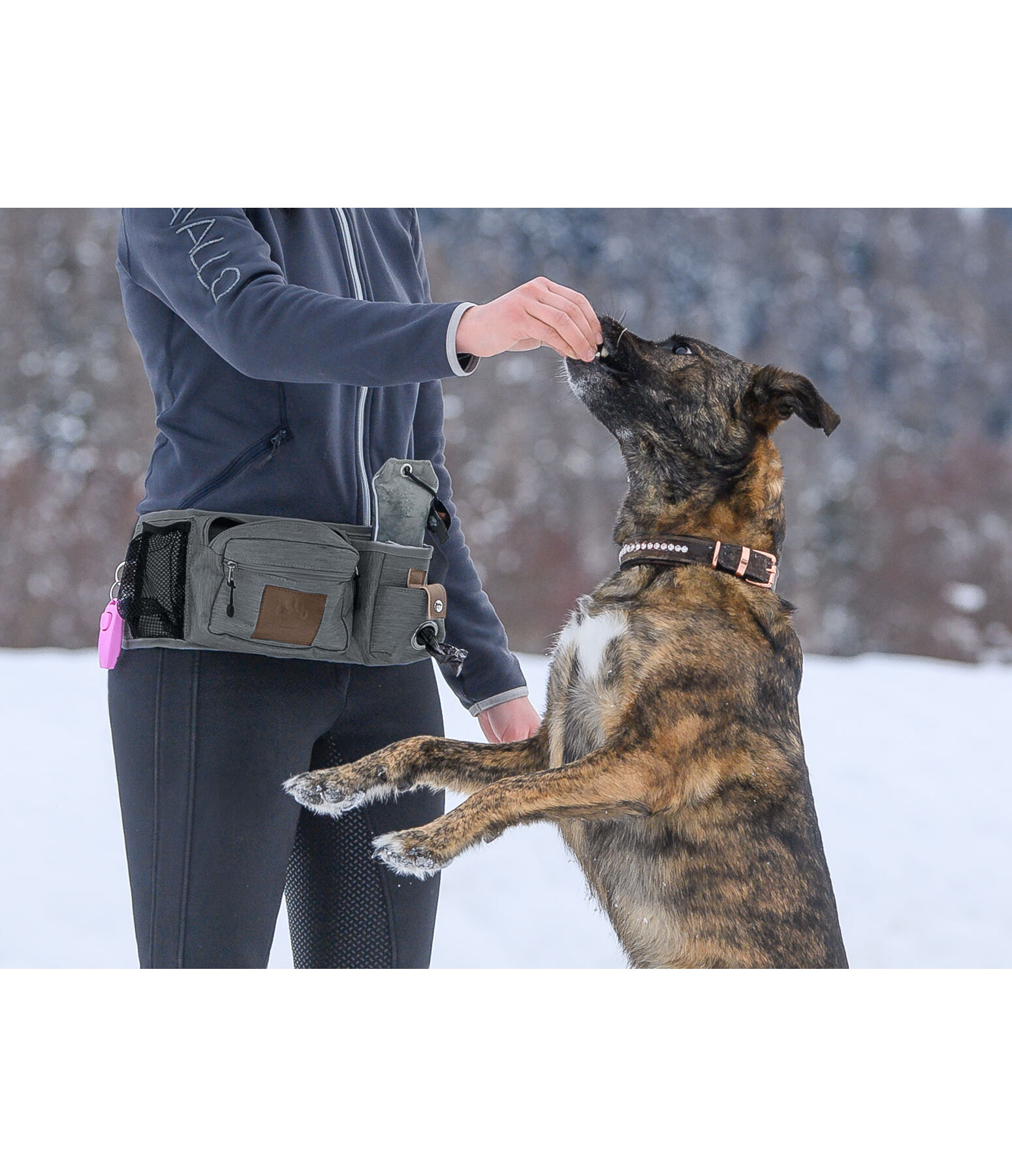 Hundetrainings-Bauchtasche Obedience