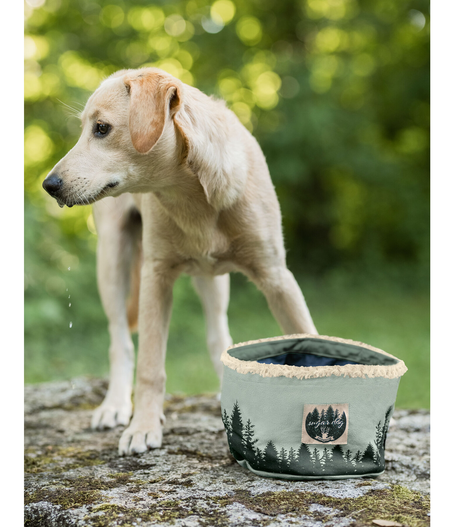 Canvas-Reisenapf für Hunde Adventure Seeker