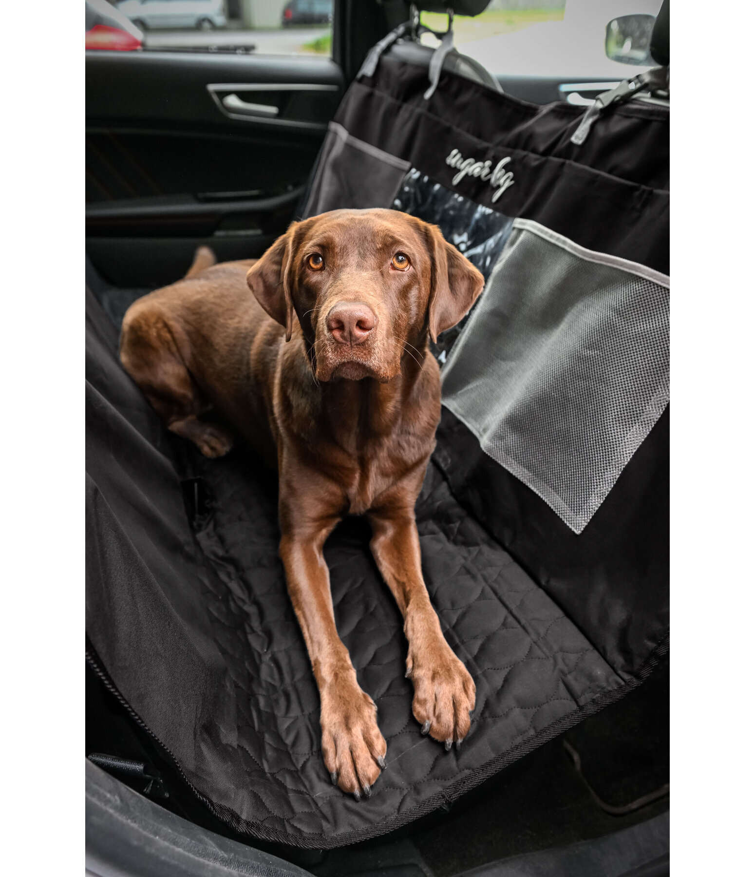 Universal-Rückbankschoner für Hunde Road Trip