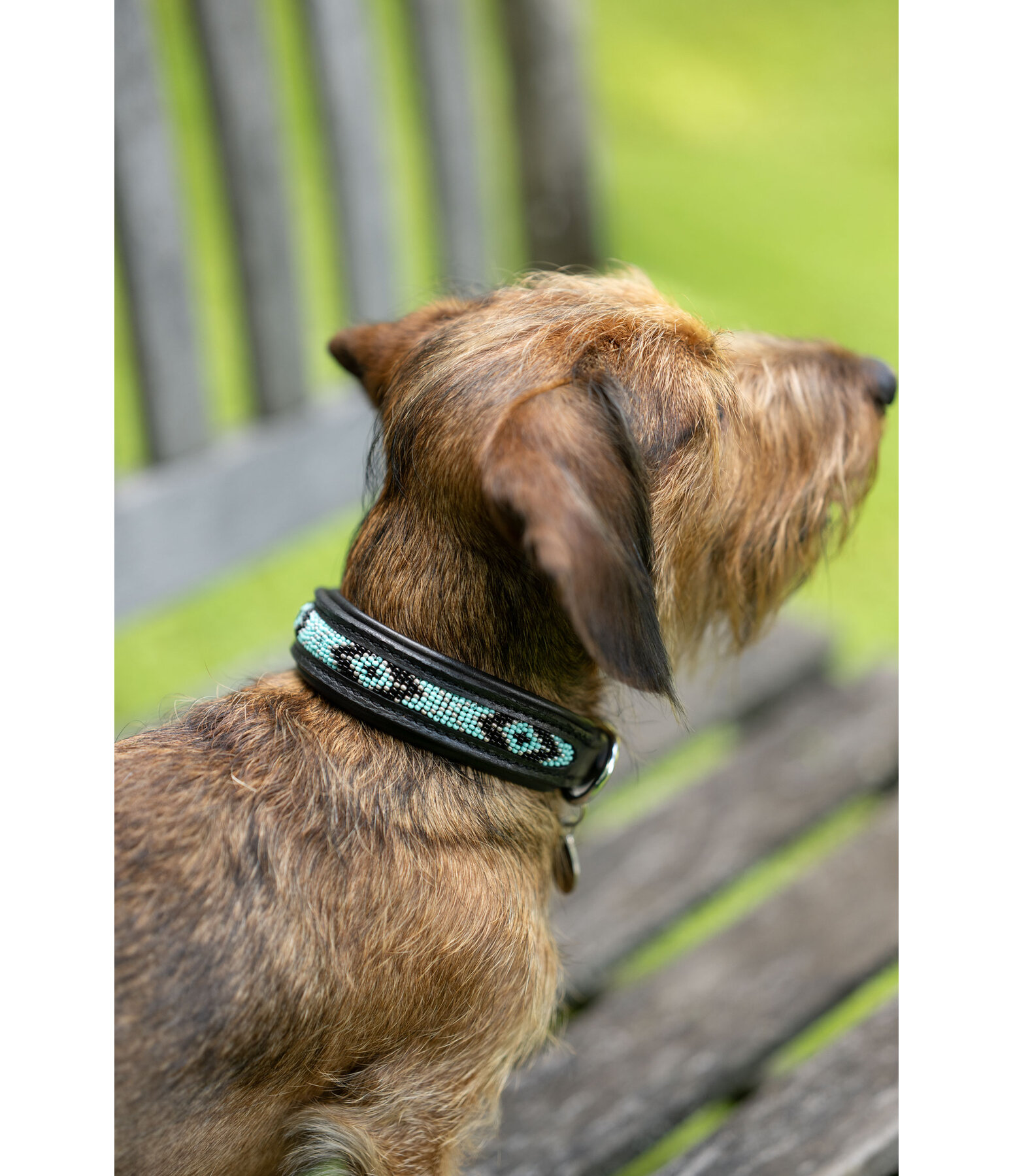 Hunde-Lederhalsband Nashville