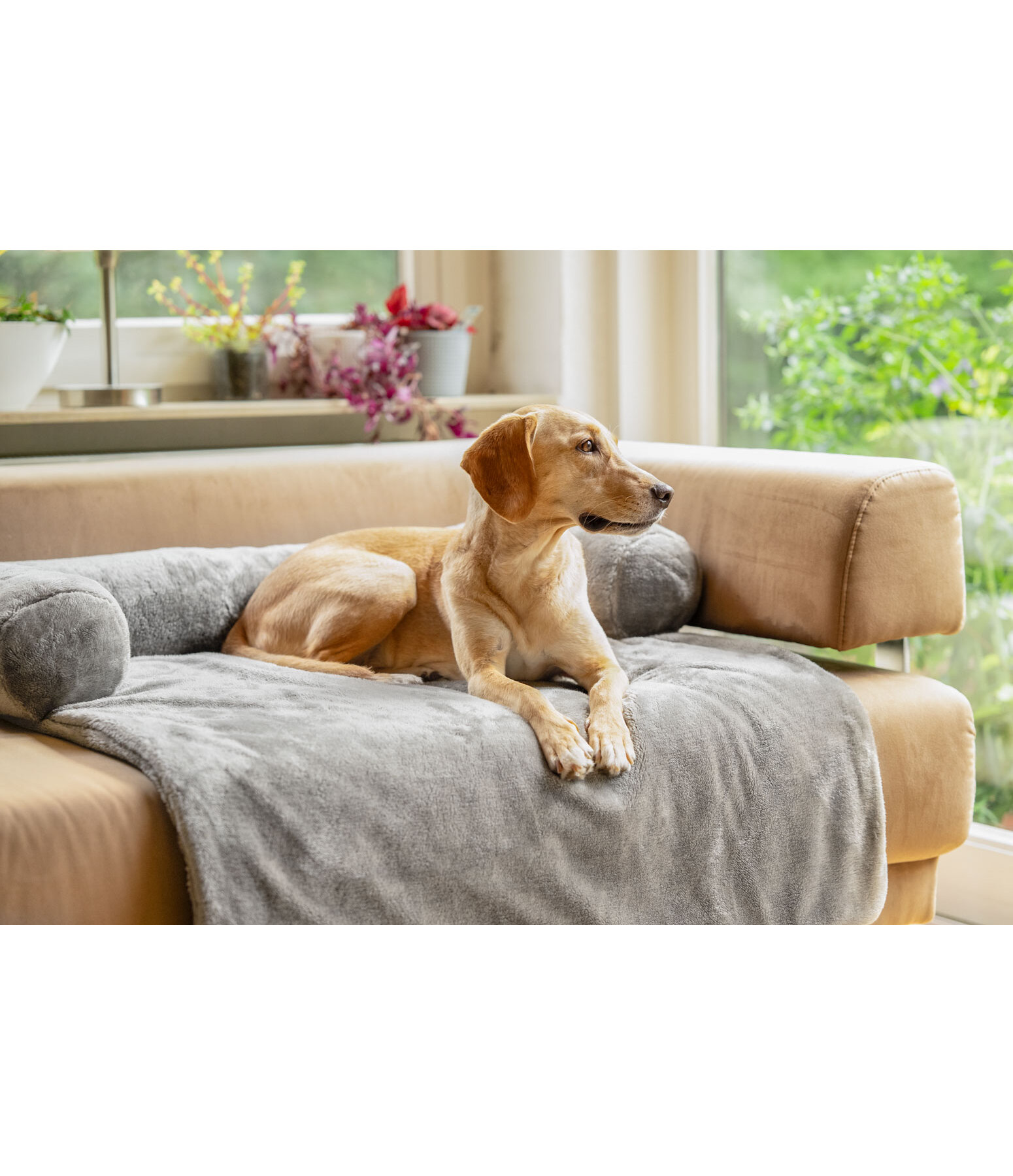 Teddyfleece-M�belschutz Guard