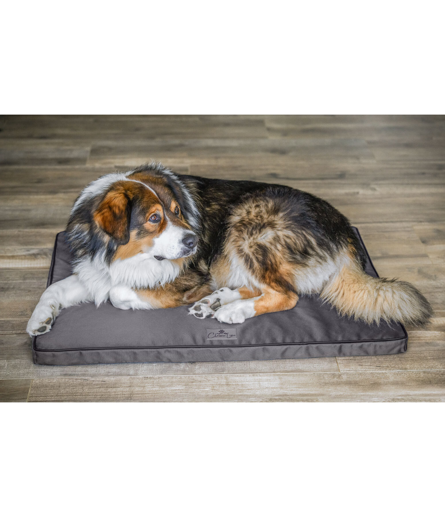 Cooling Hunde-Liegematte Atlanta