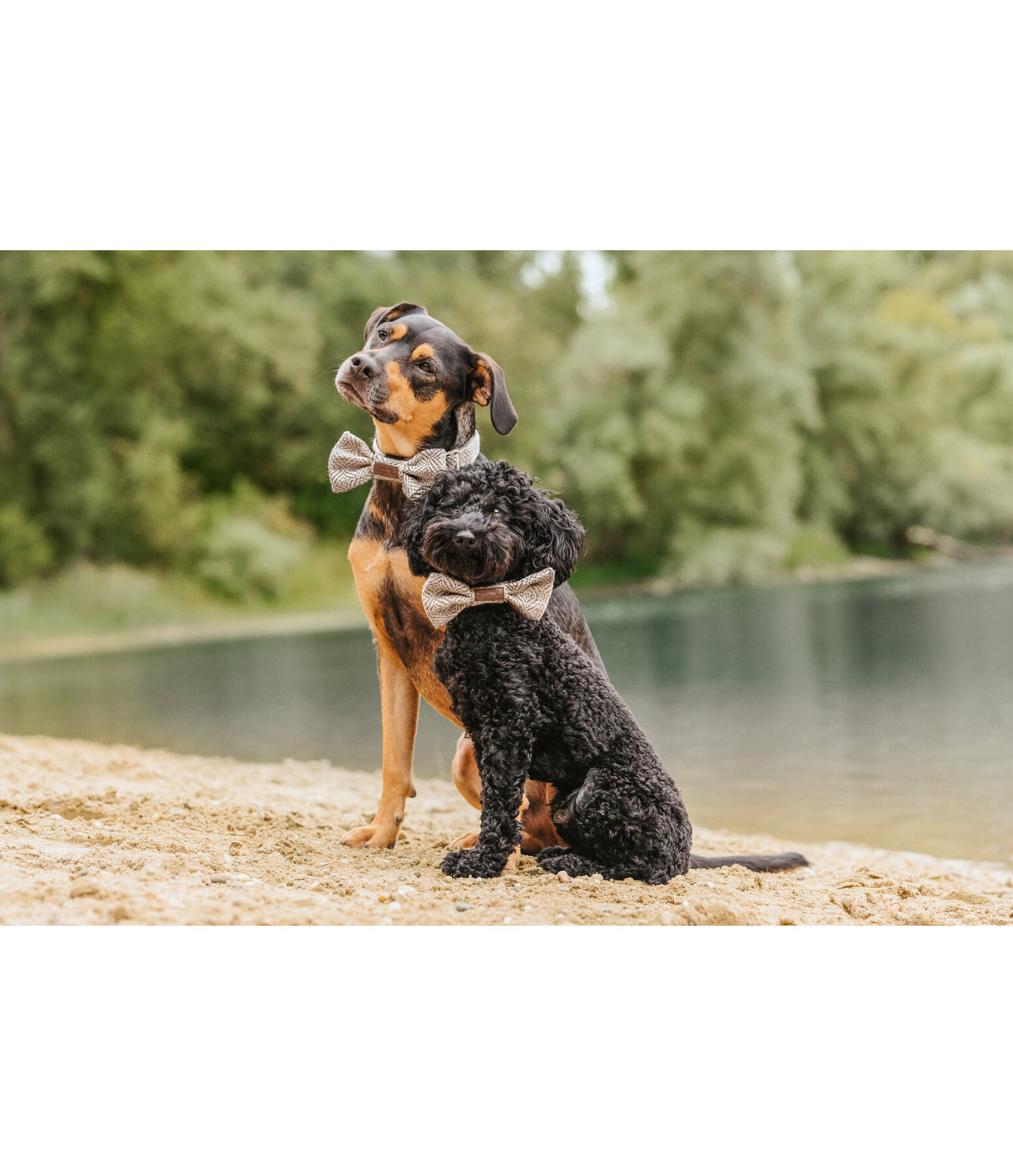 Fliege Tribal Love für Hunde