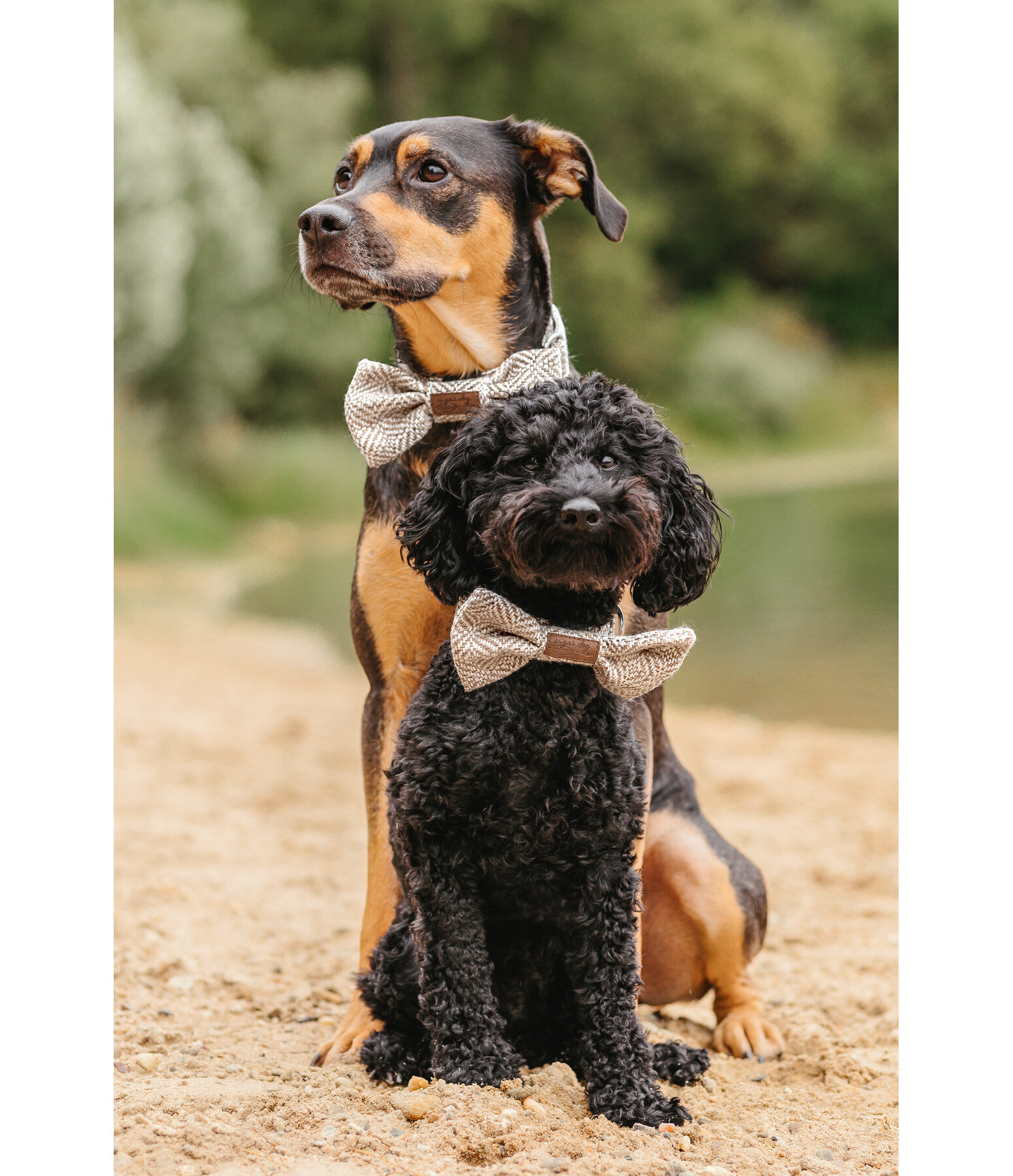 Fliege Tribal Love für Hunde