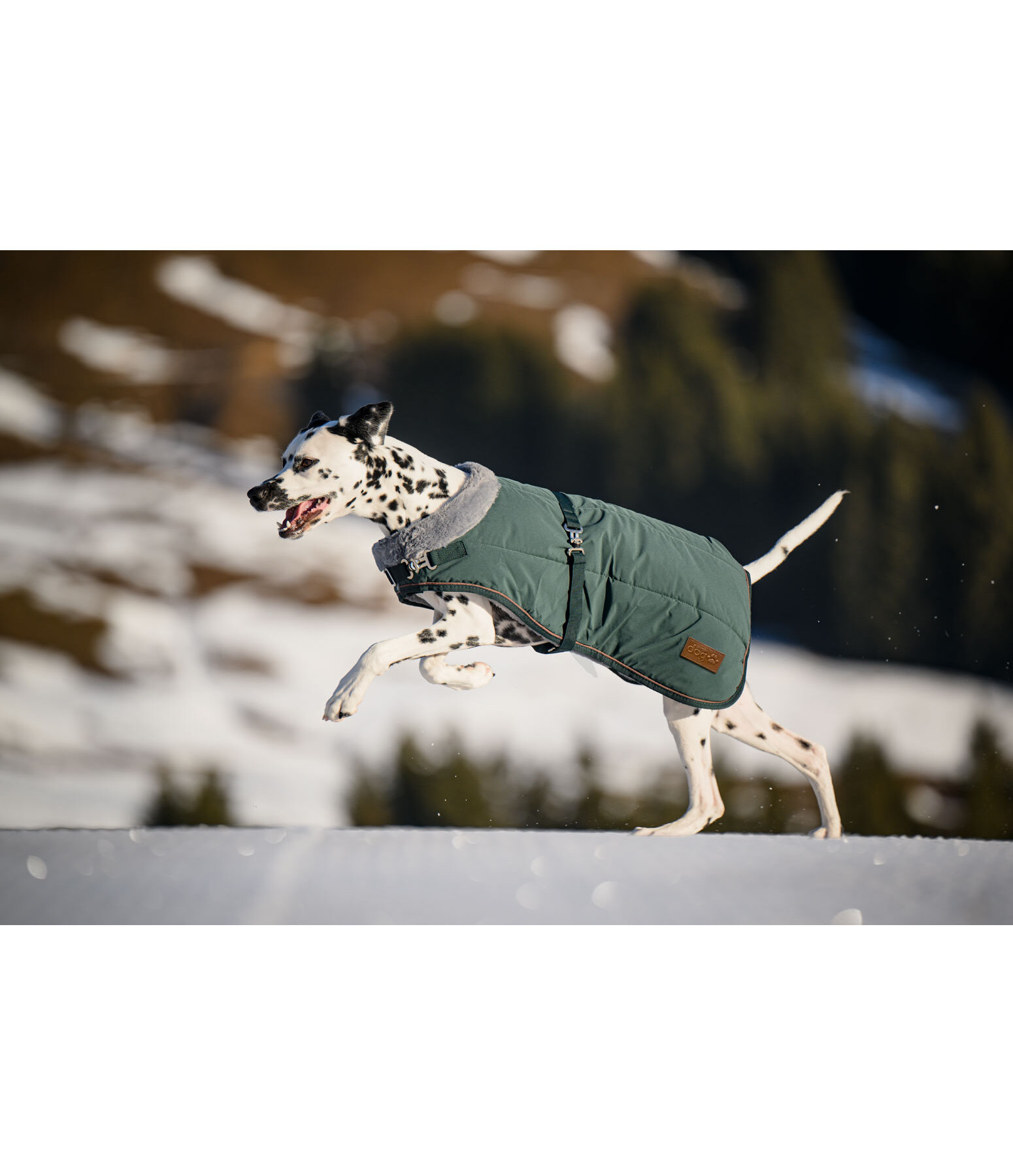 Winter-Hundemantel Gizmo mit Teddyfell-Innenfutter, 200 g