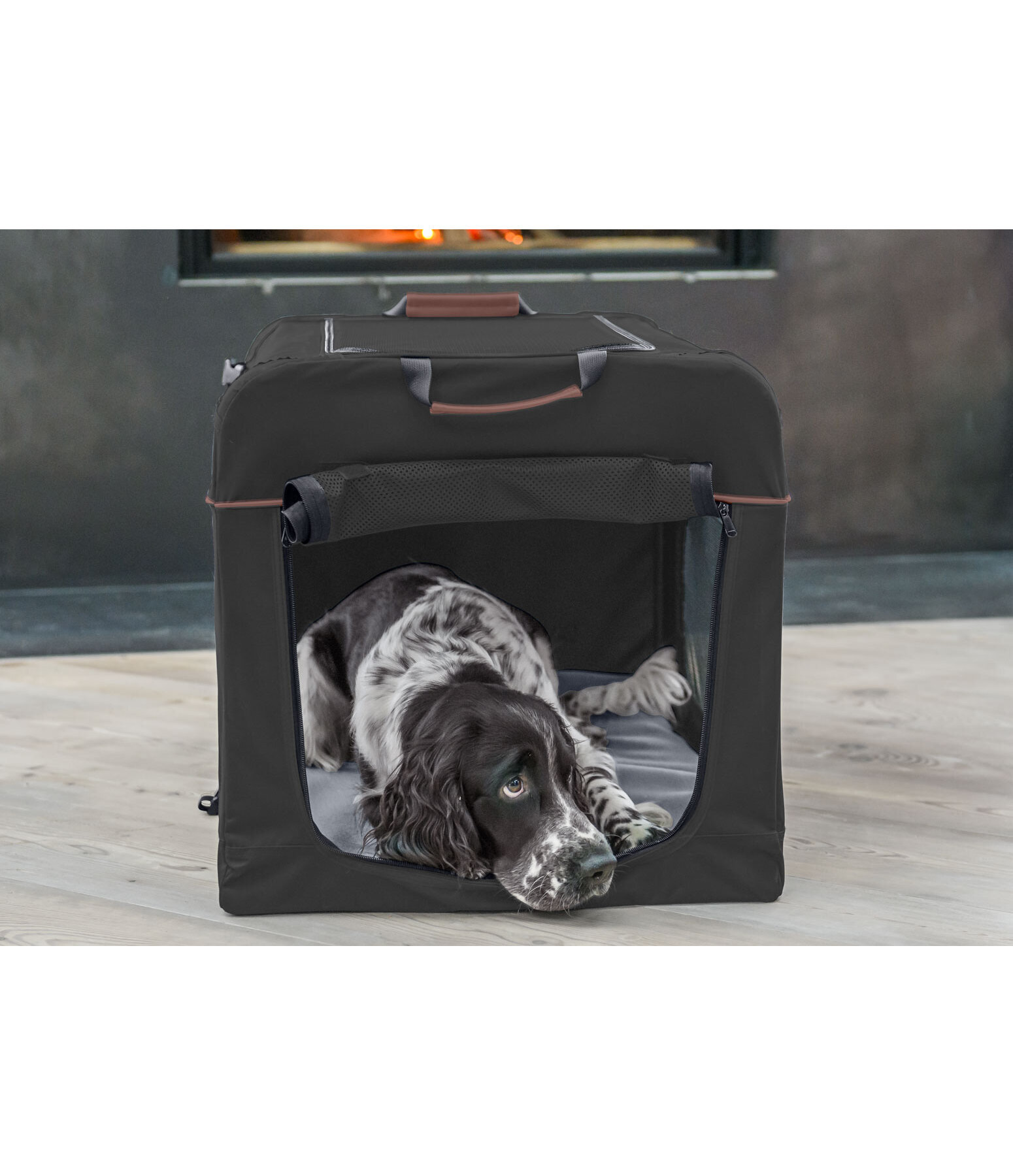 Faltbare Transport-Box Kansas