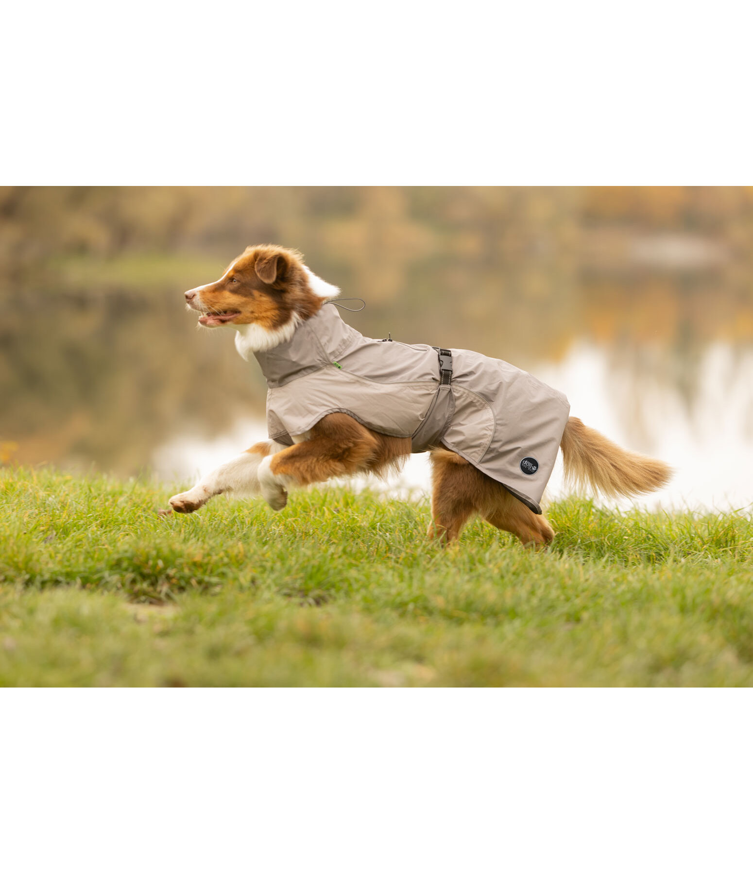 Lightweight Hunde-Regenmantel  Alma, 0 g