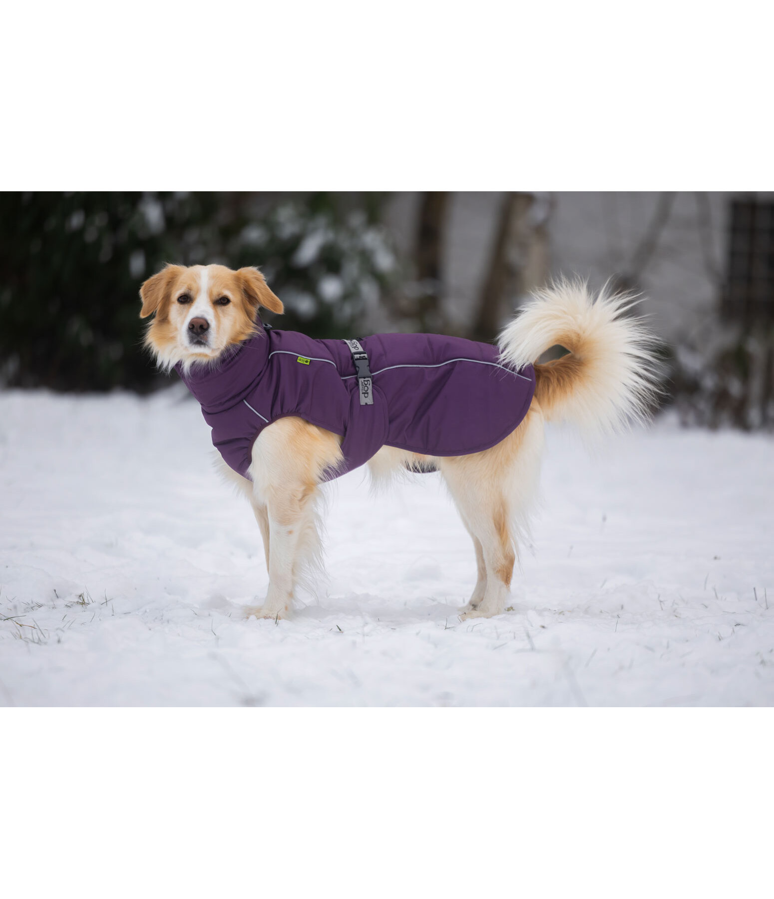 Winter-Hundemantel Marlon, 200-300 g