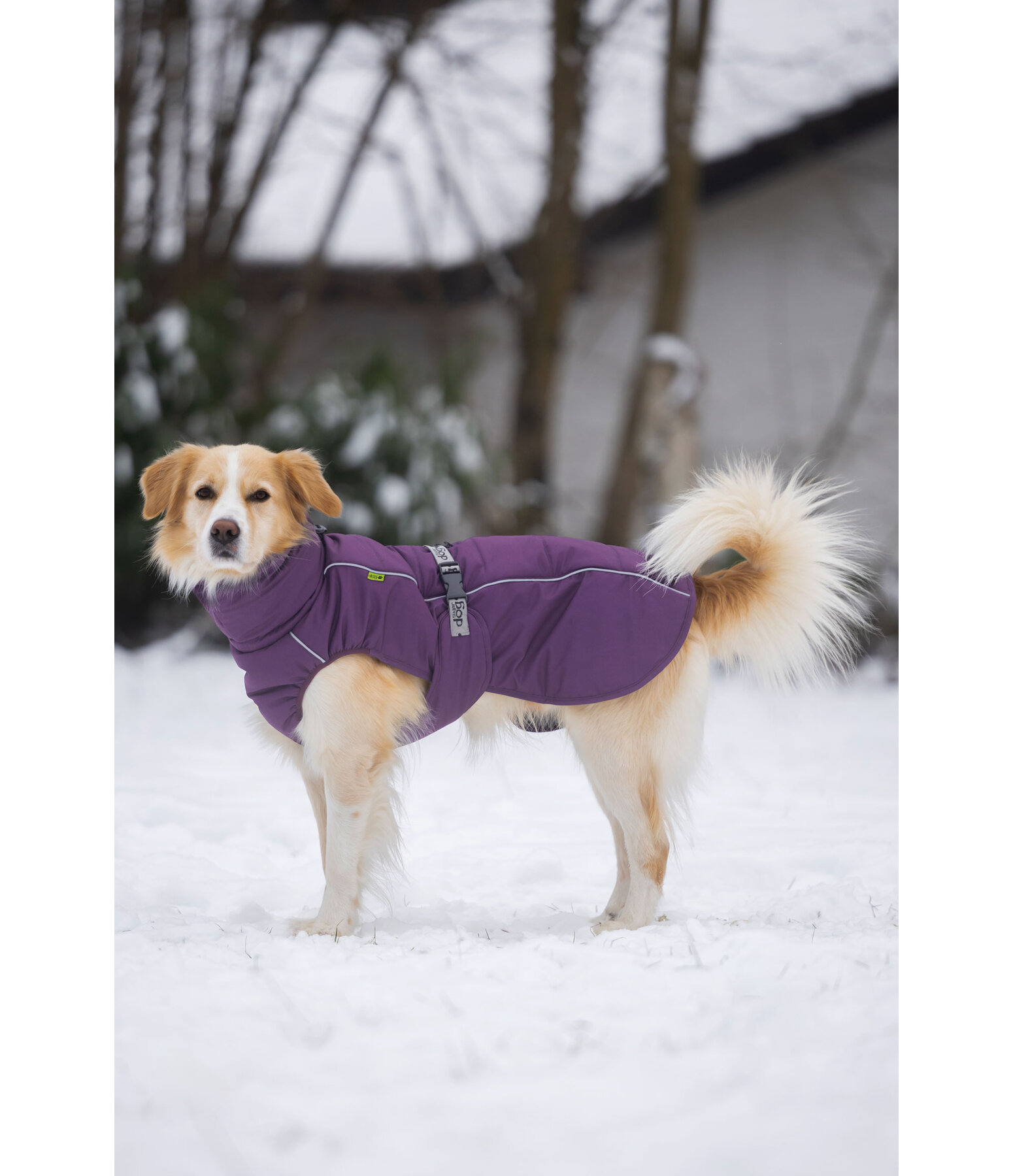Winter-Hundemantel Marlon, 200-300 g