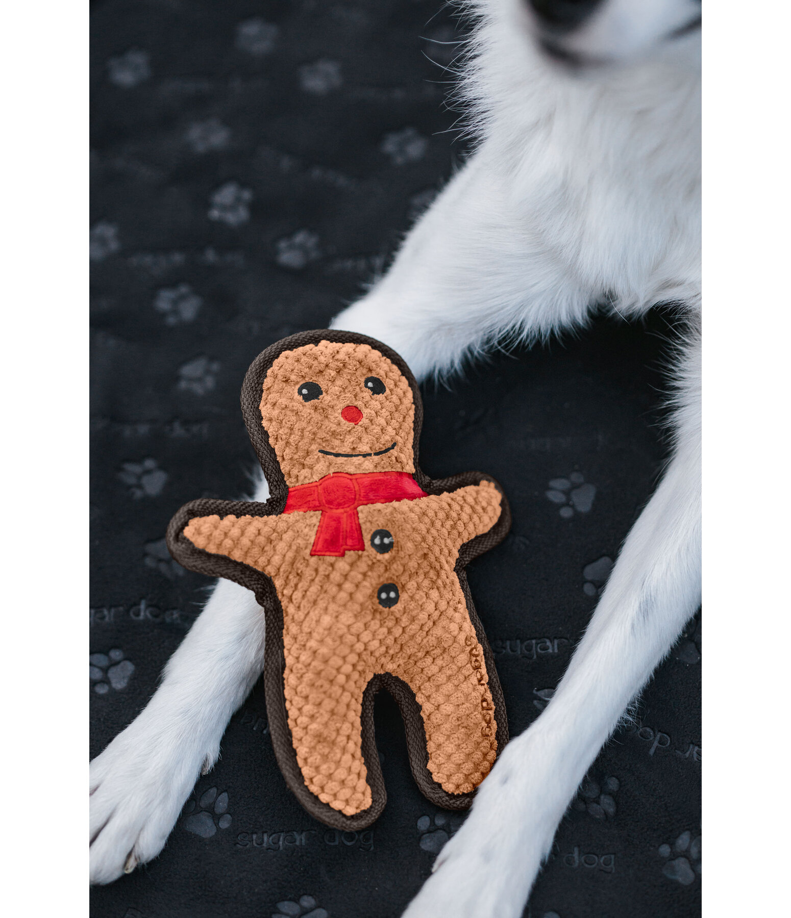Hundespielzeug Gingerman