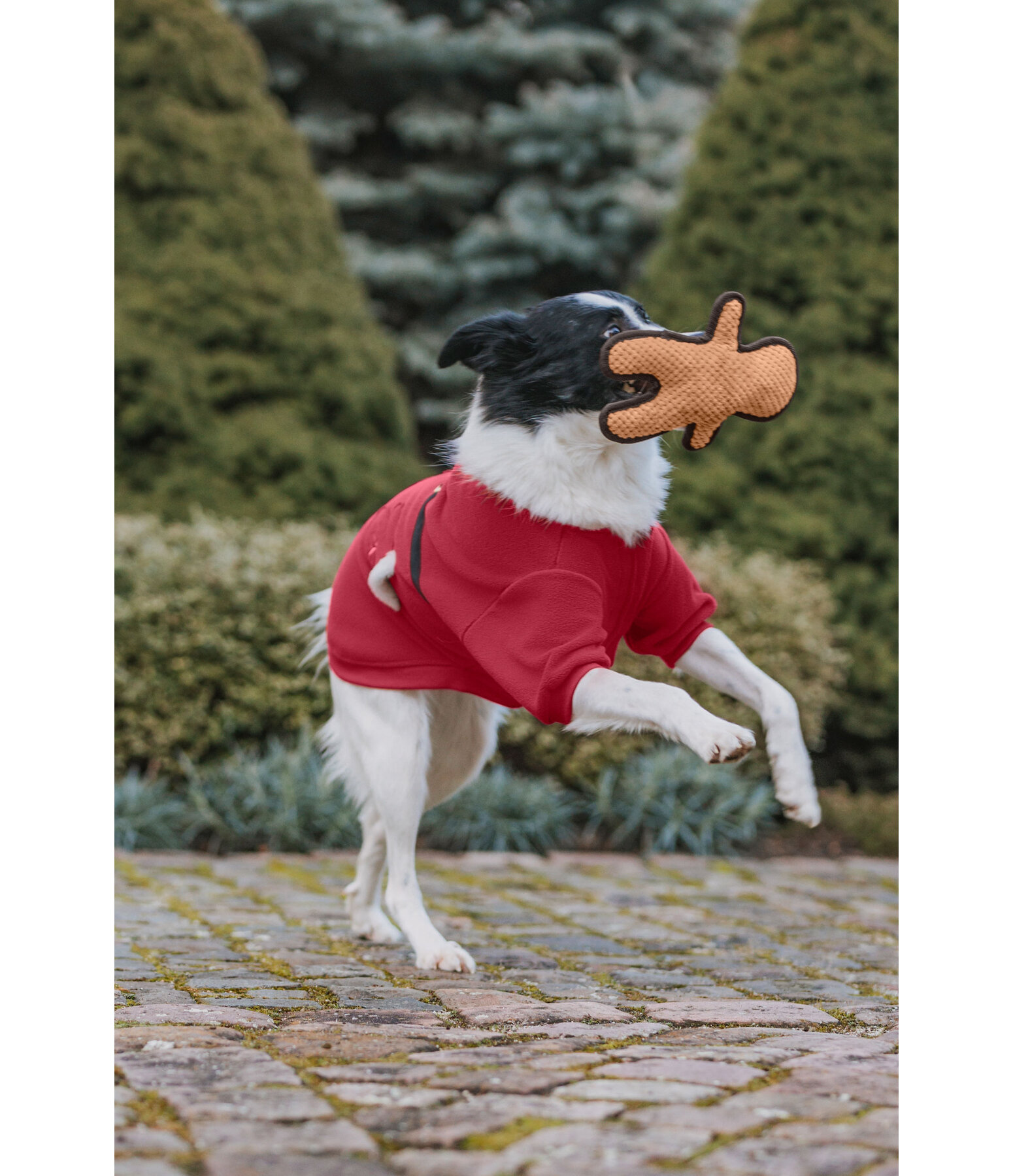 Hundespielzeug Gingerman