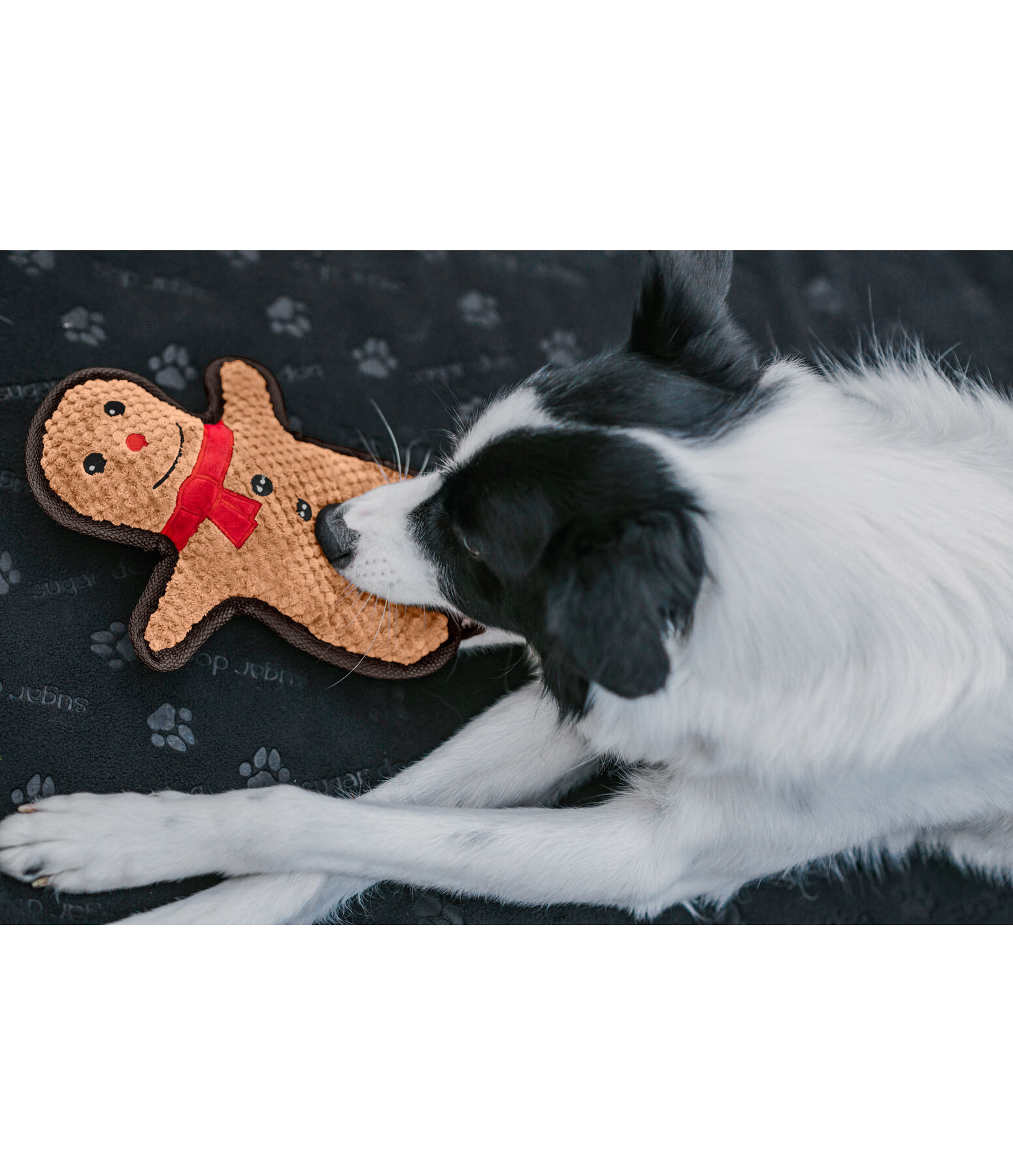 Hundespielzeug Gingerman