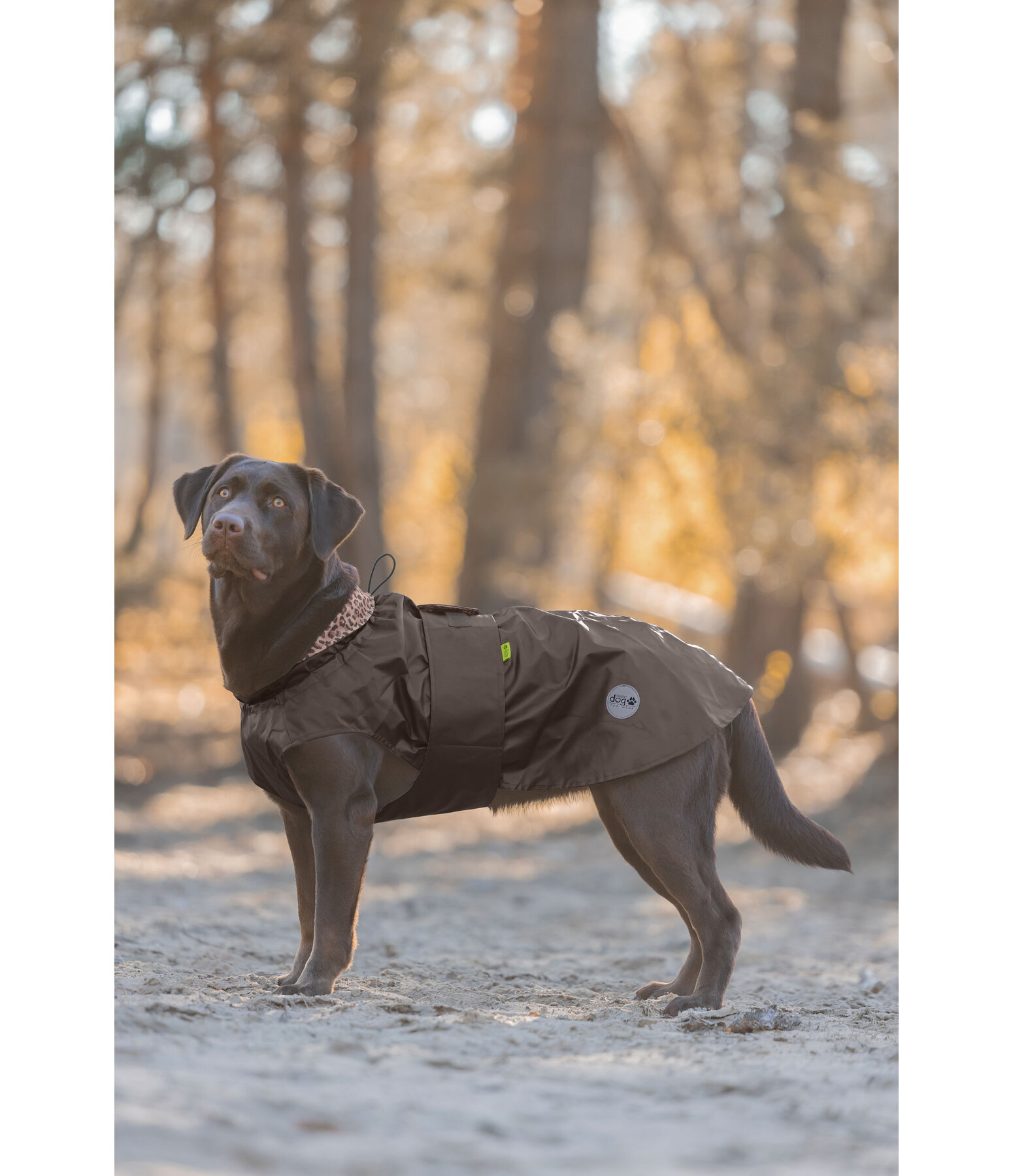 Hunde-Regenmantel Emmi, 0 g