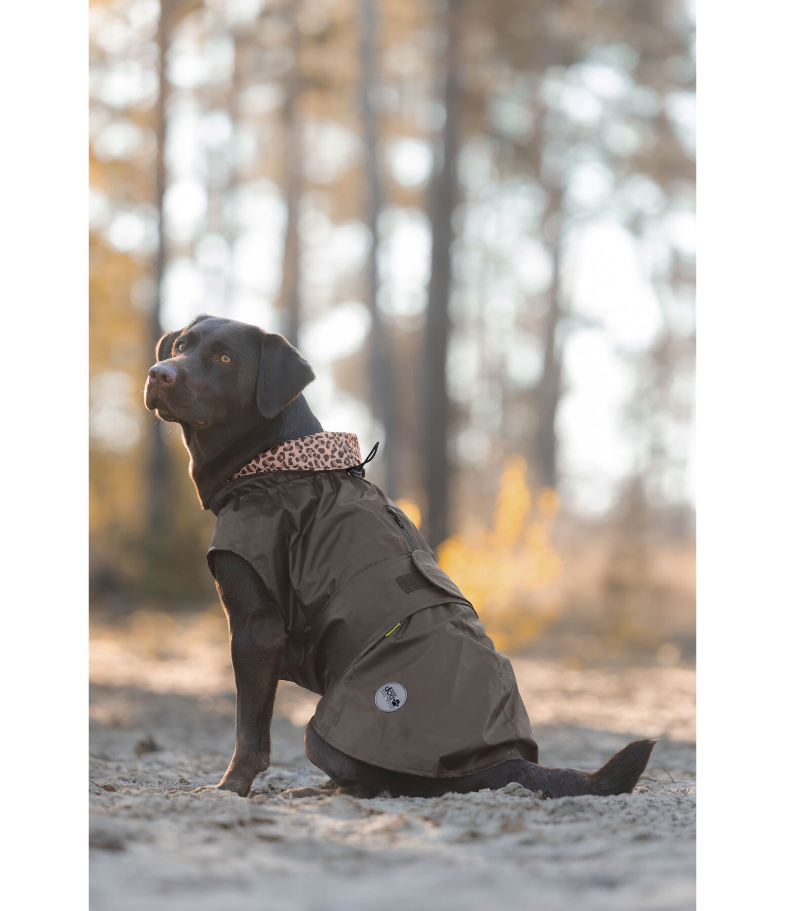 Hunde-Regenmantel Emmi, 0 g