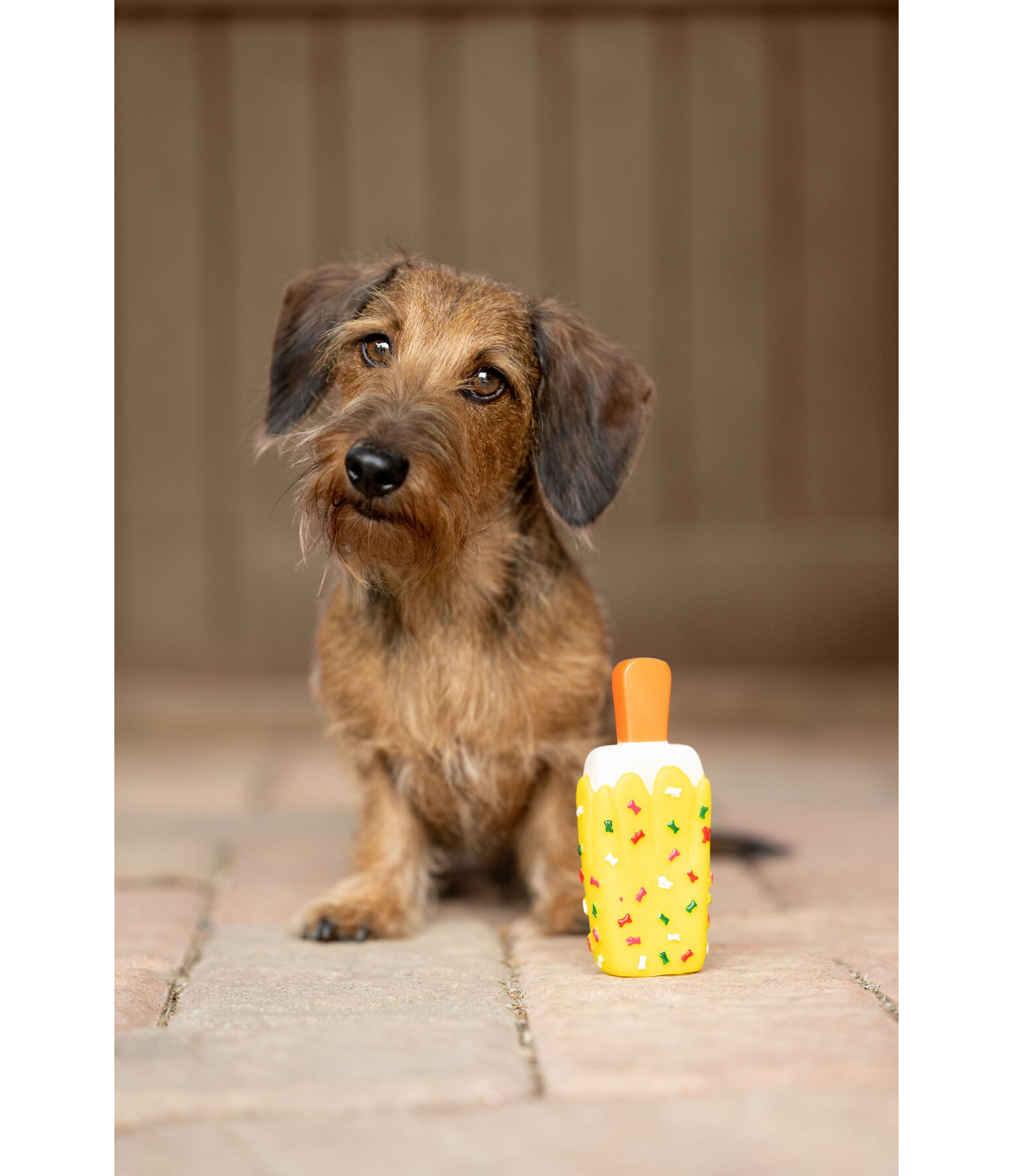 Hundespielzeug Eis am Stiel mit Quietsche