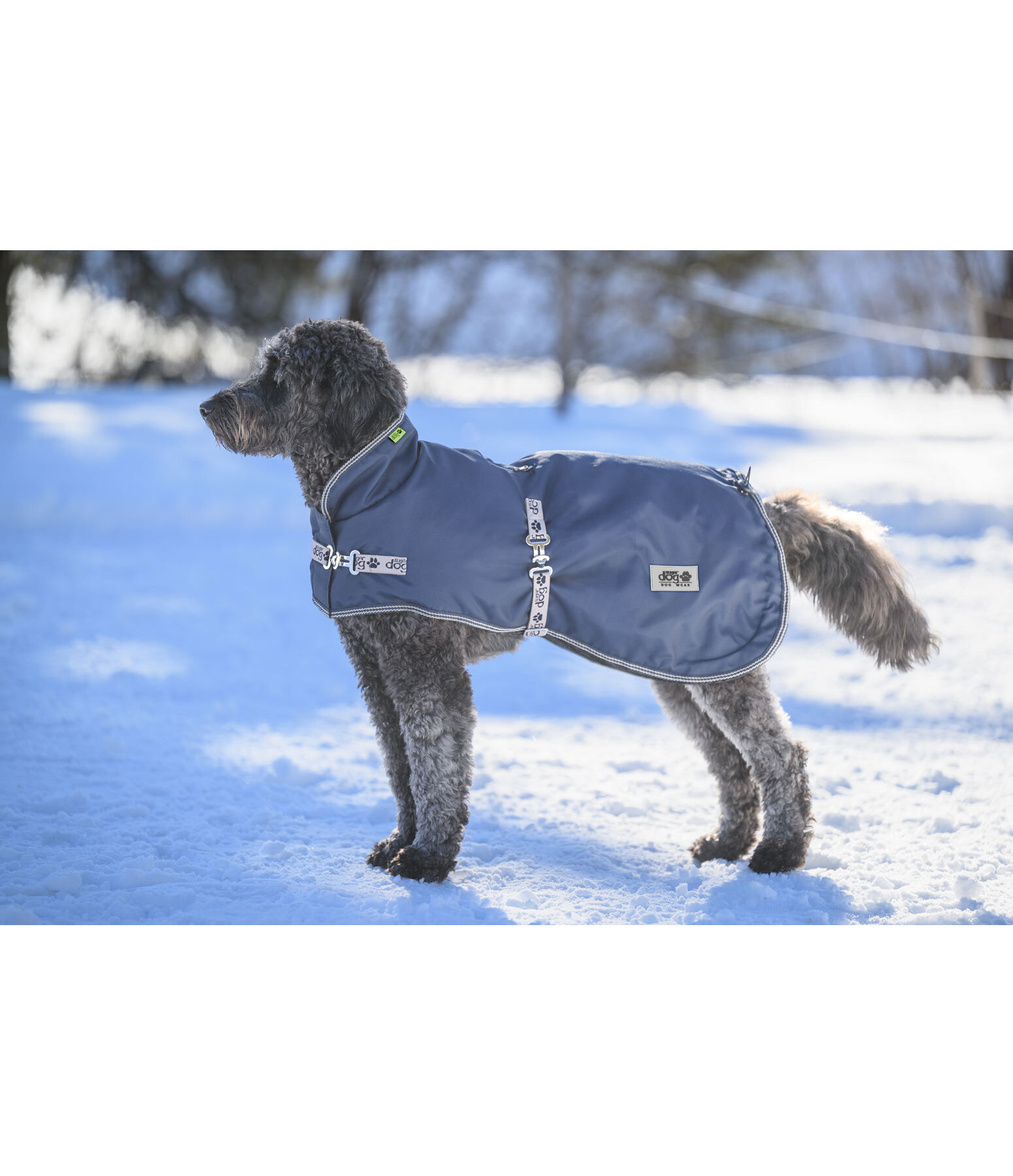 Hundemantel mit Liner-System Northwood