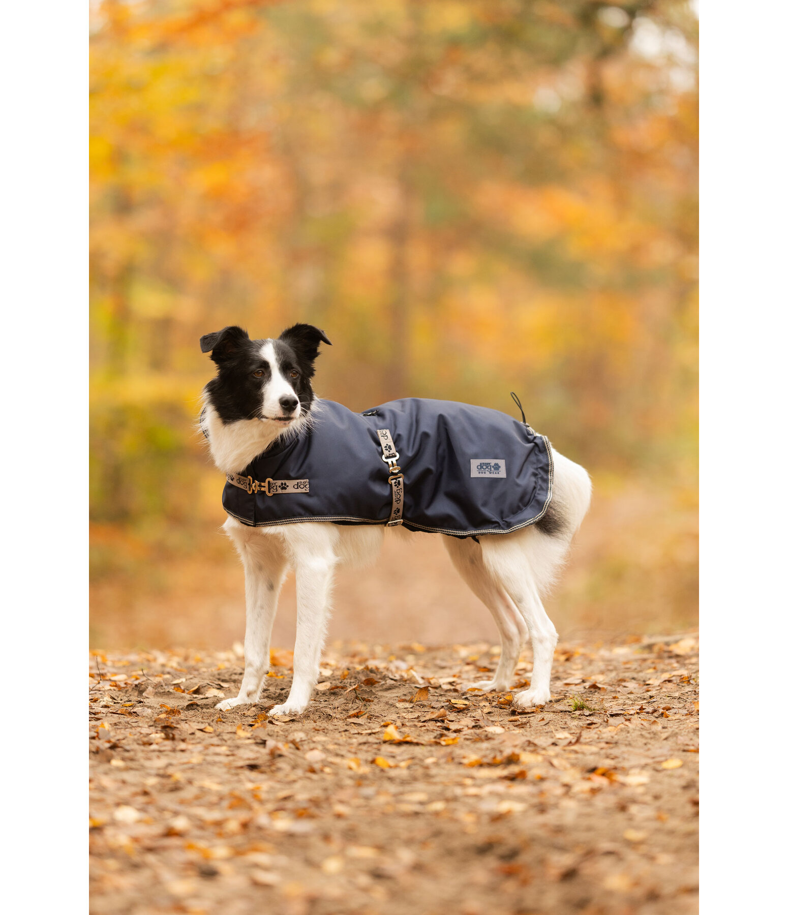 Hundemantel mit Liner-System Northwood