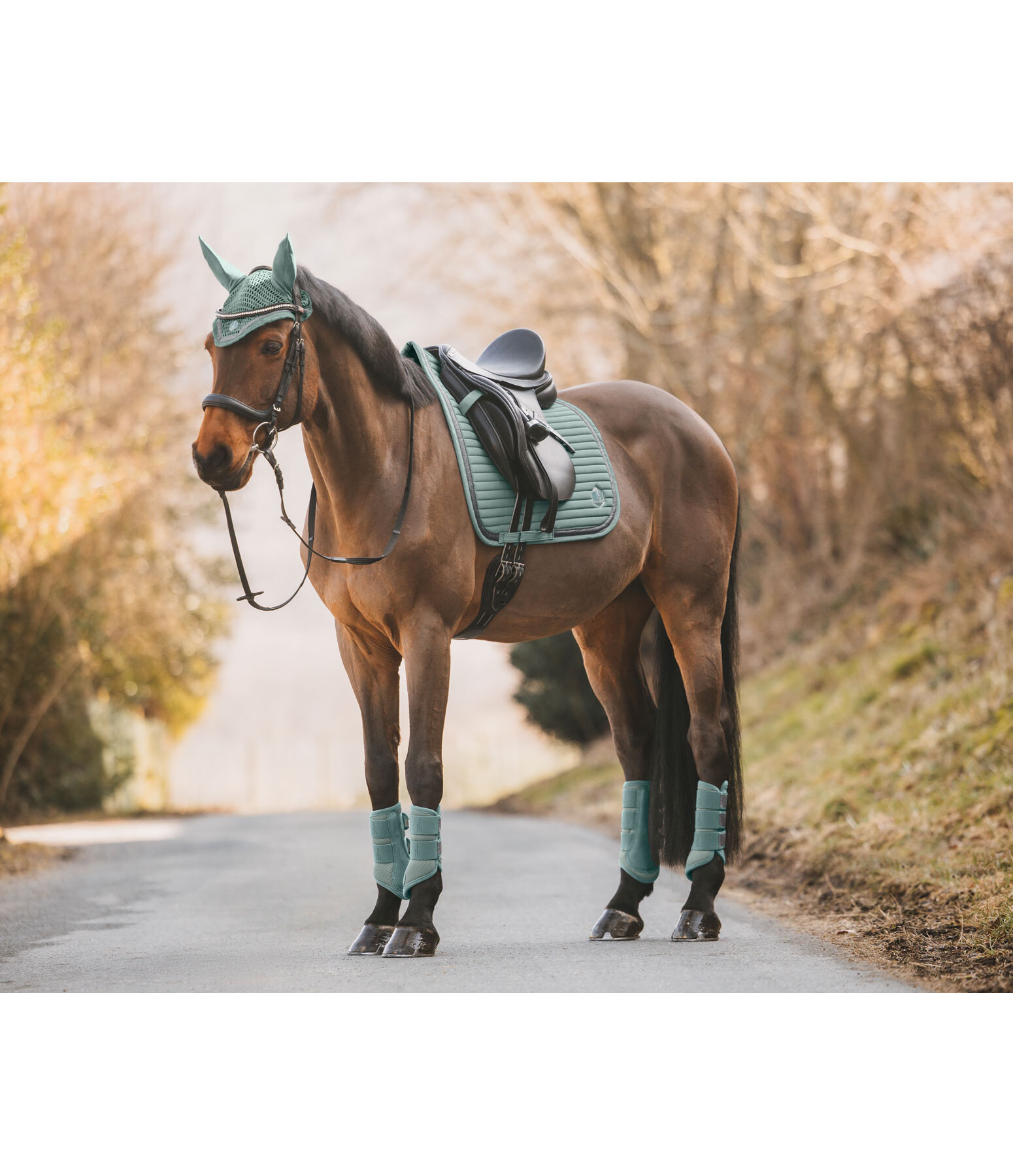 Mesh Gamaschen Glitter, Vorderbeine