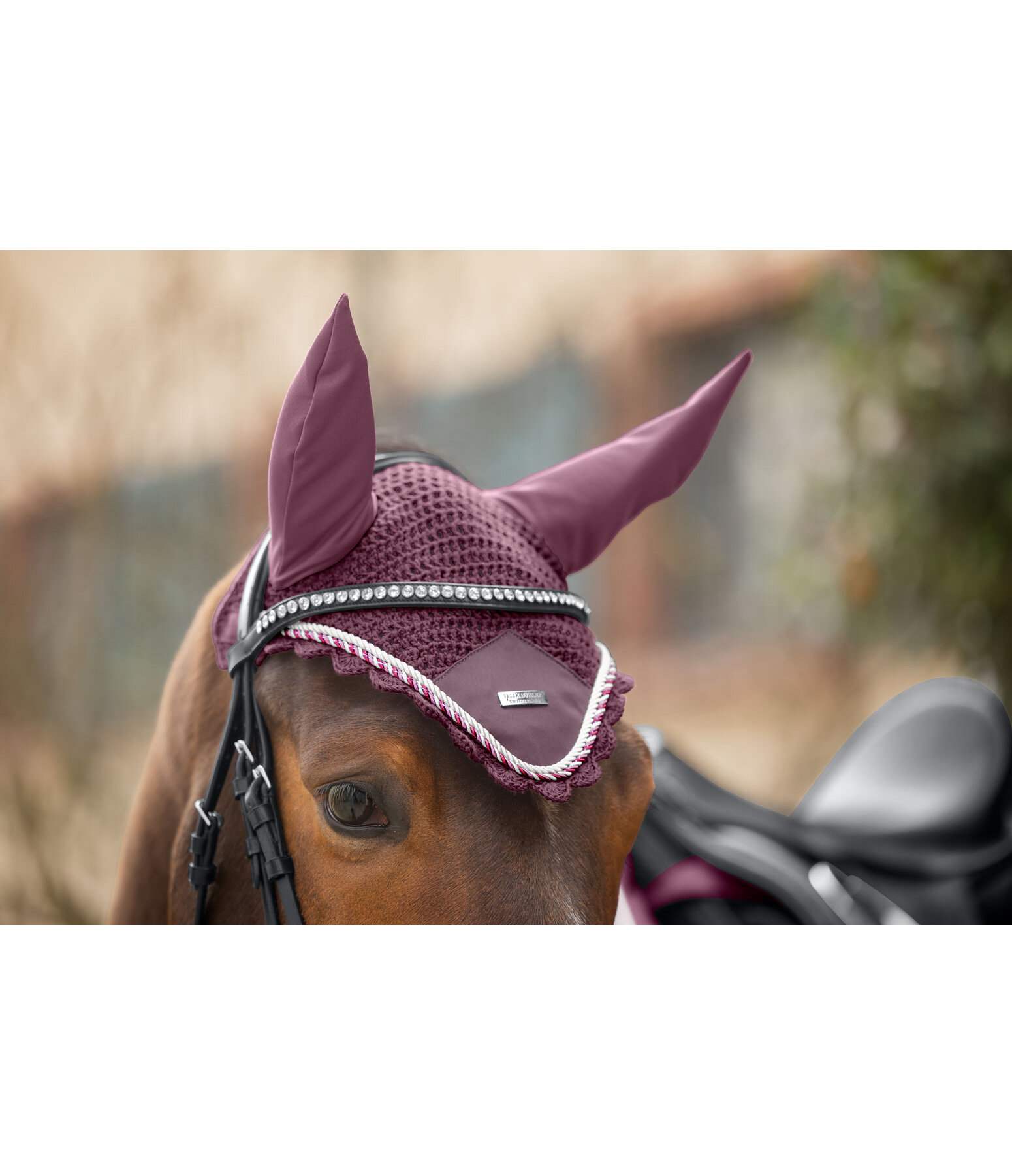 Fliegenhaube Swiss Design