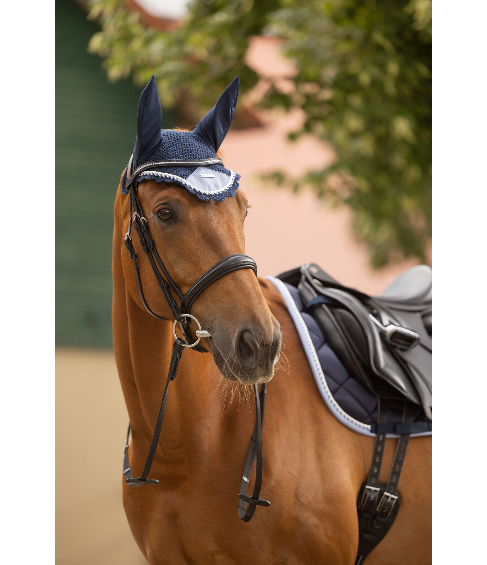 Fliegenhaube Swiss Design