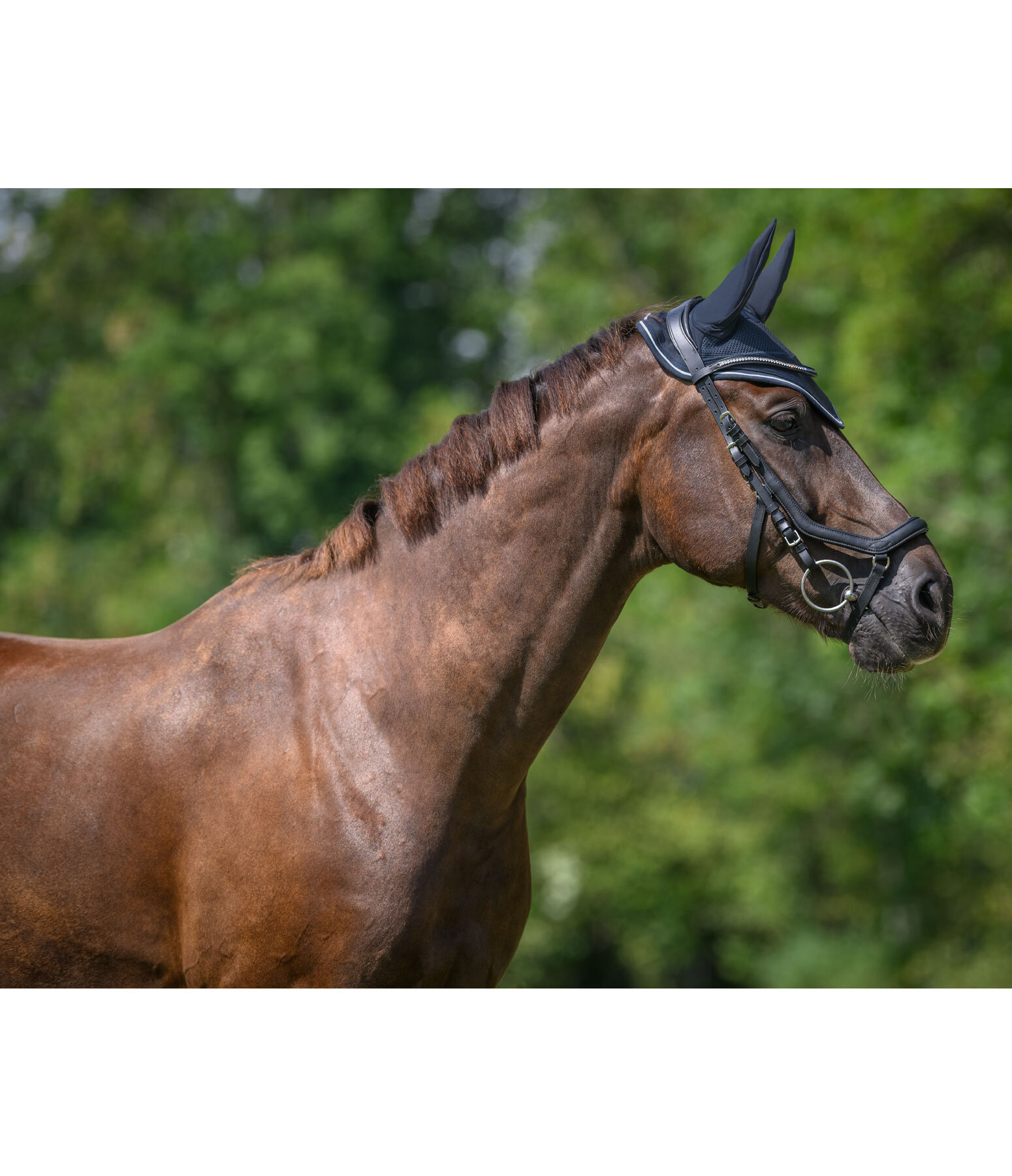 Fliegenhaube Sporty Standard