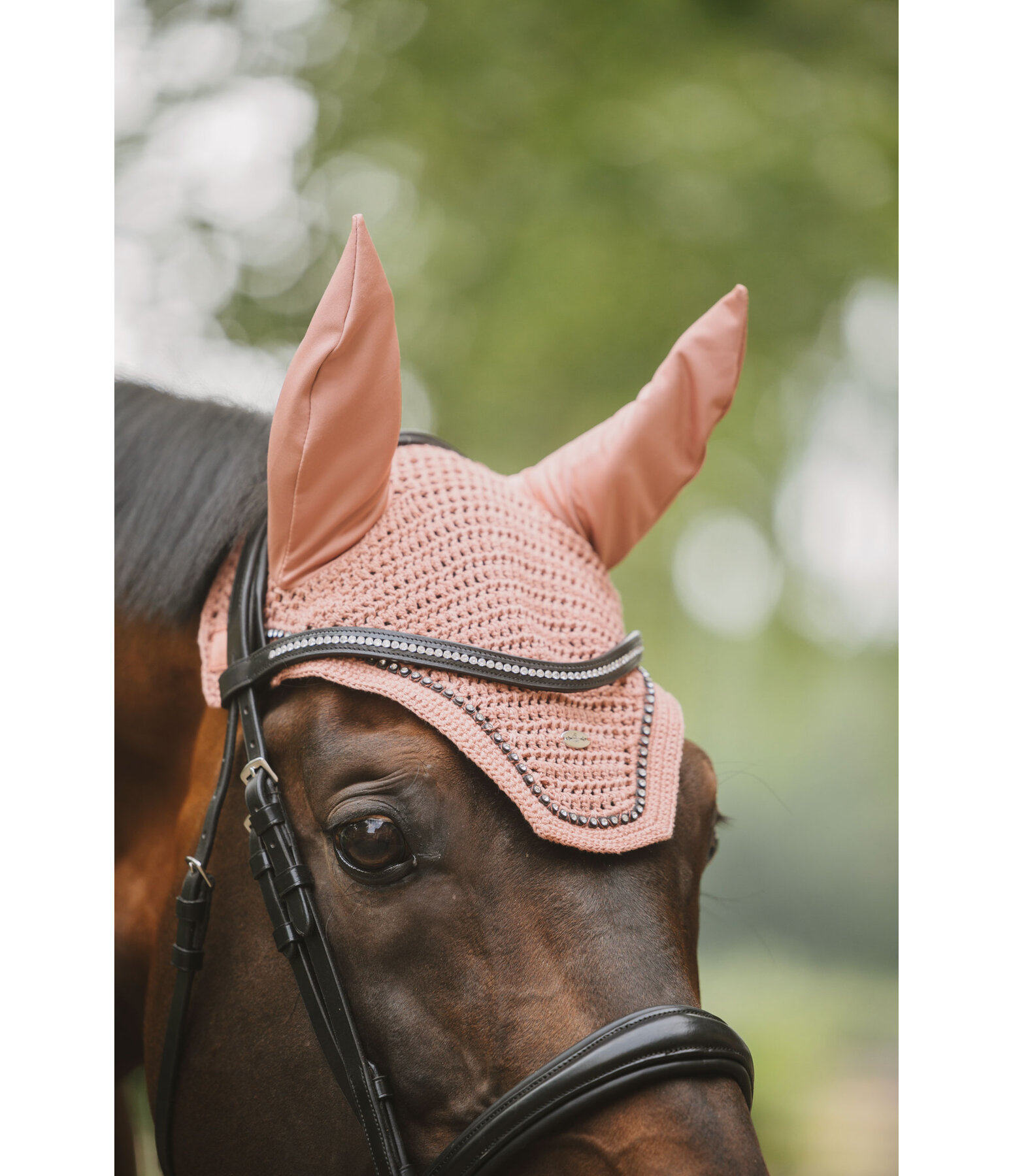 Fliegenhaube Brilliant