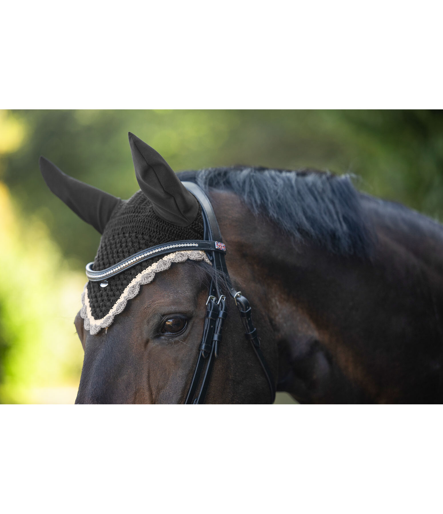 Fliegenhaube Primary