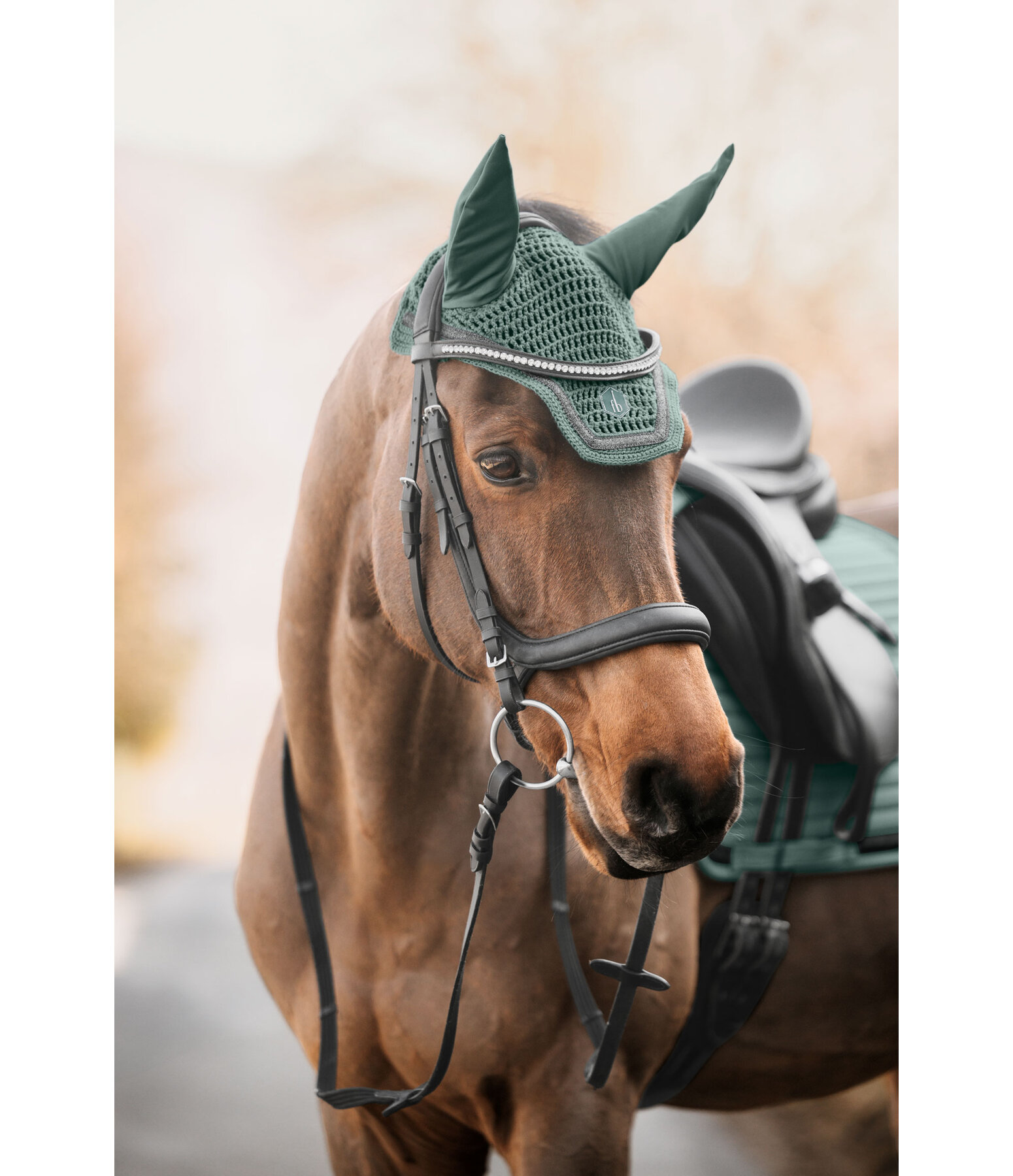 Fliegenhaube Glitter