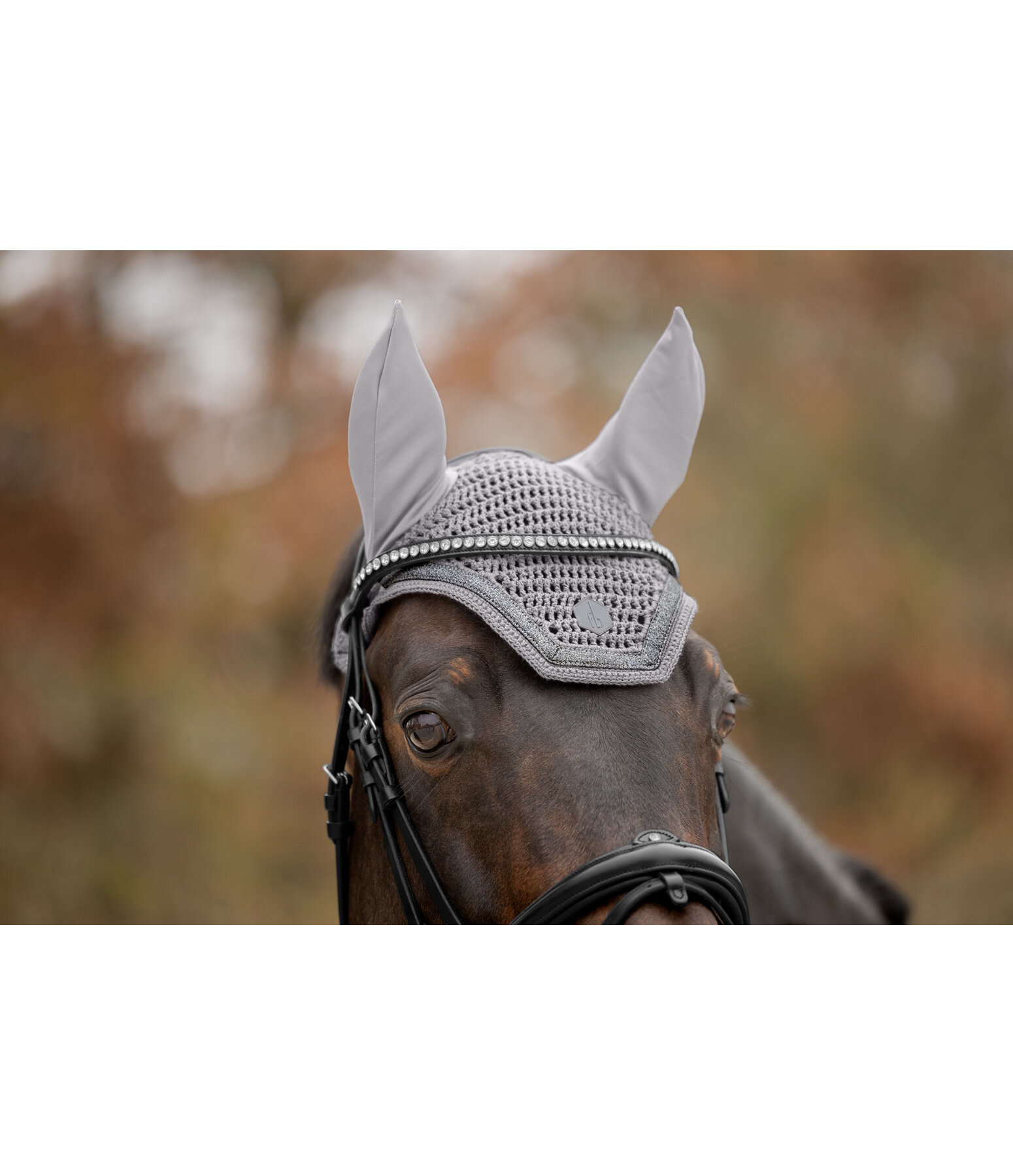 Fliegenhaube Glitter