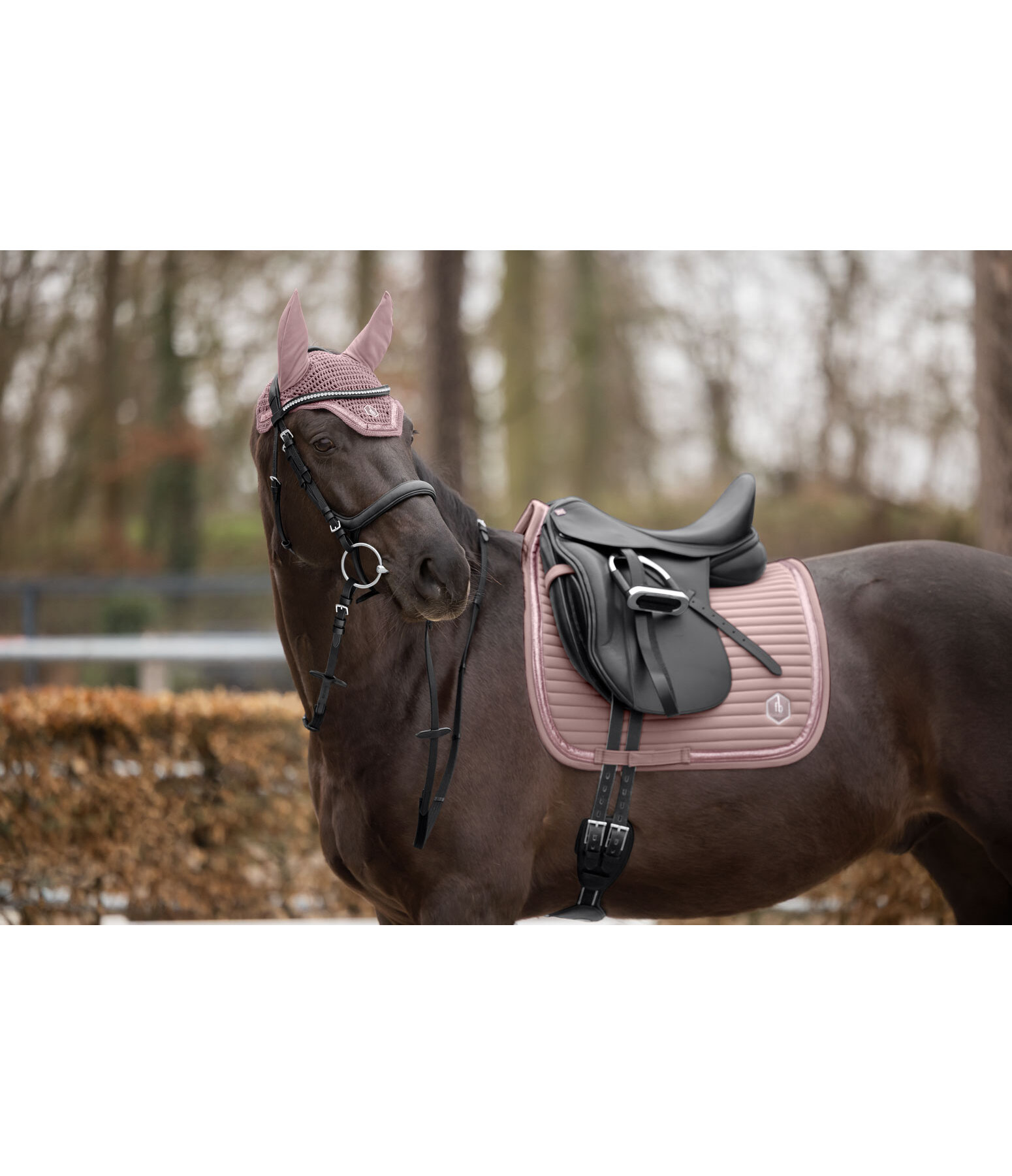 Fliegenhaube Glitter