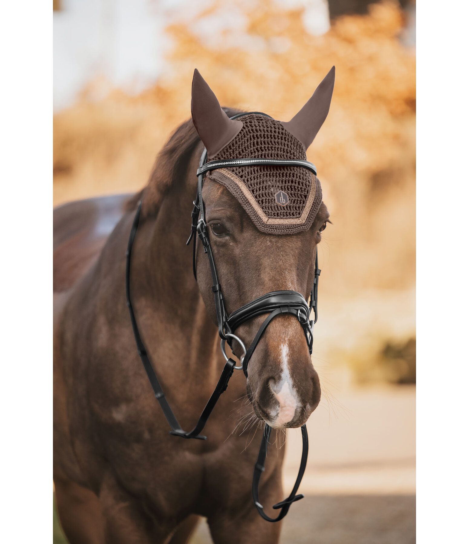 Fliegenhaube Glitter