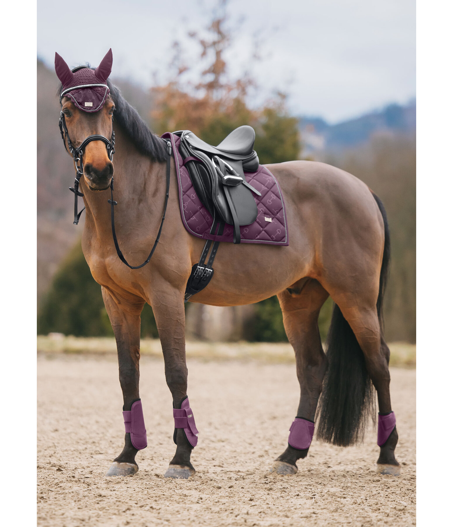 Fliegenhaube Signature II