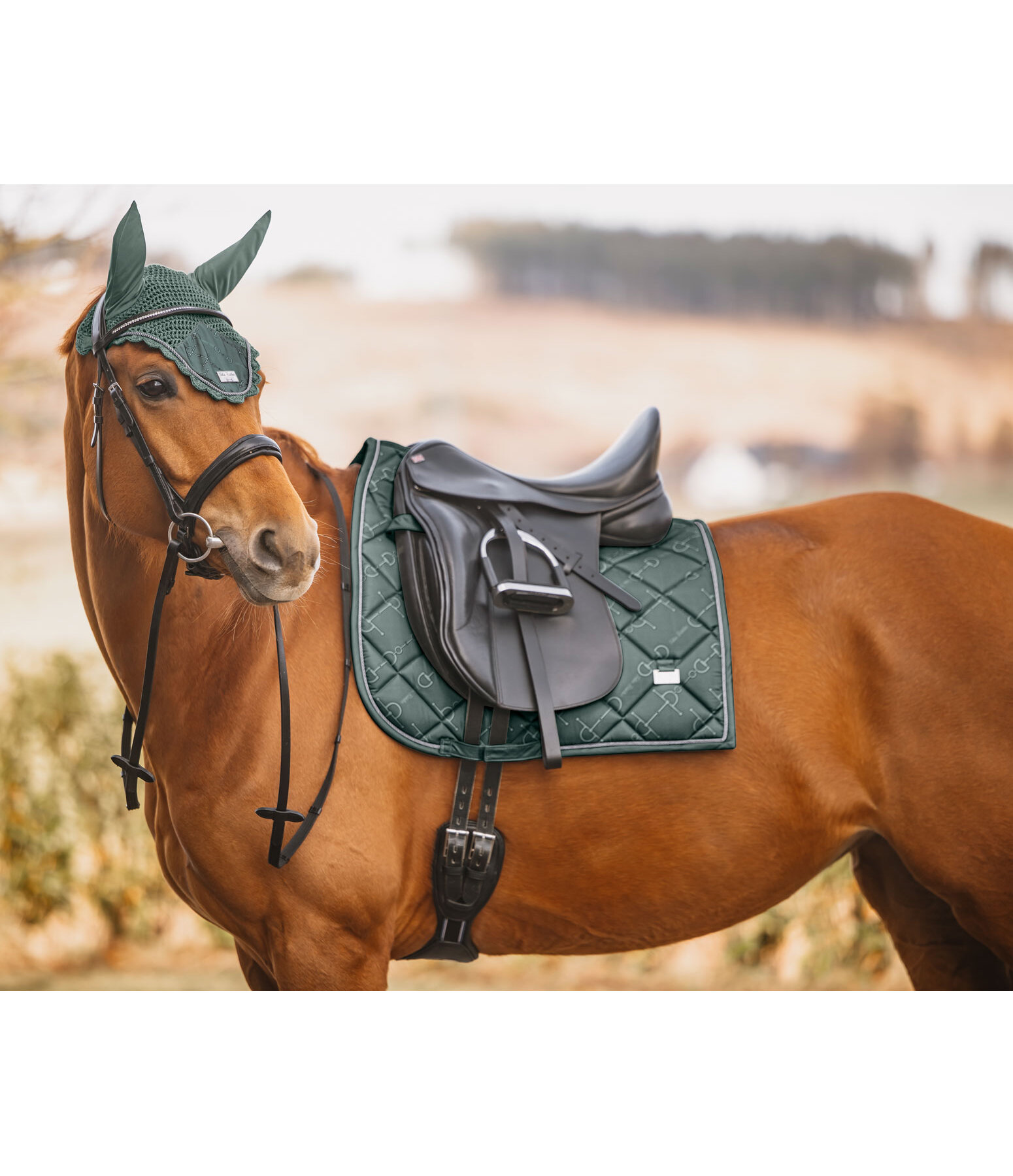 Fliegenhaube Signature II