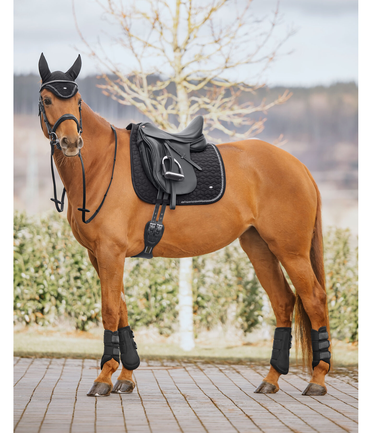 Fliegenhaube Twinkle
