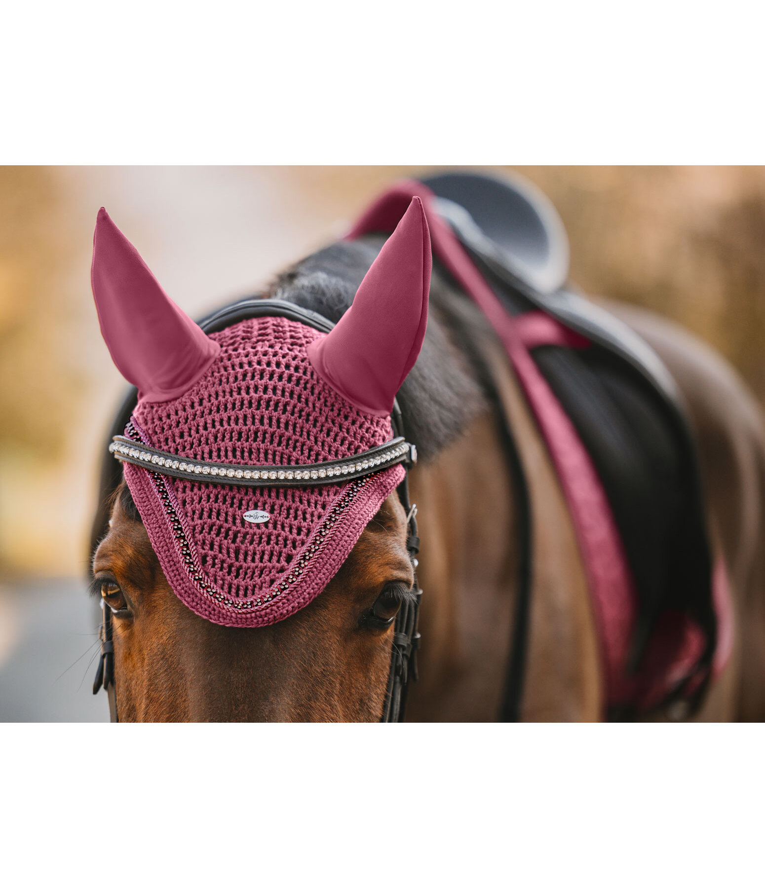 Fliegenhaube Twinkle