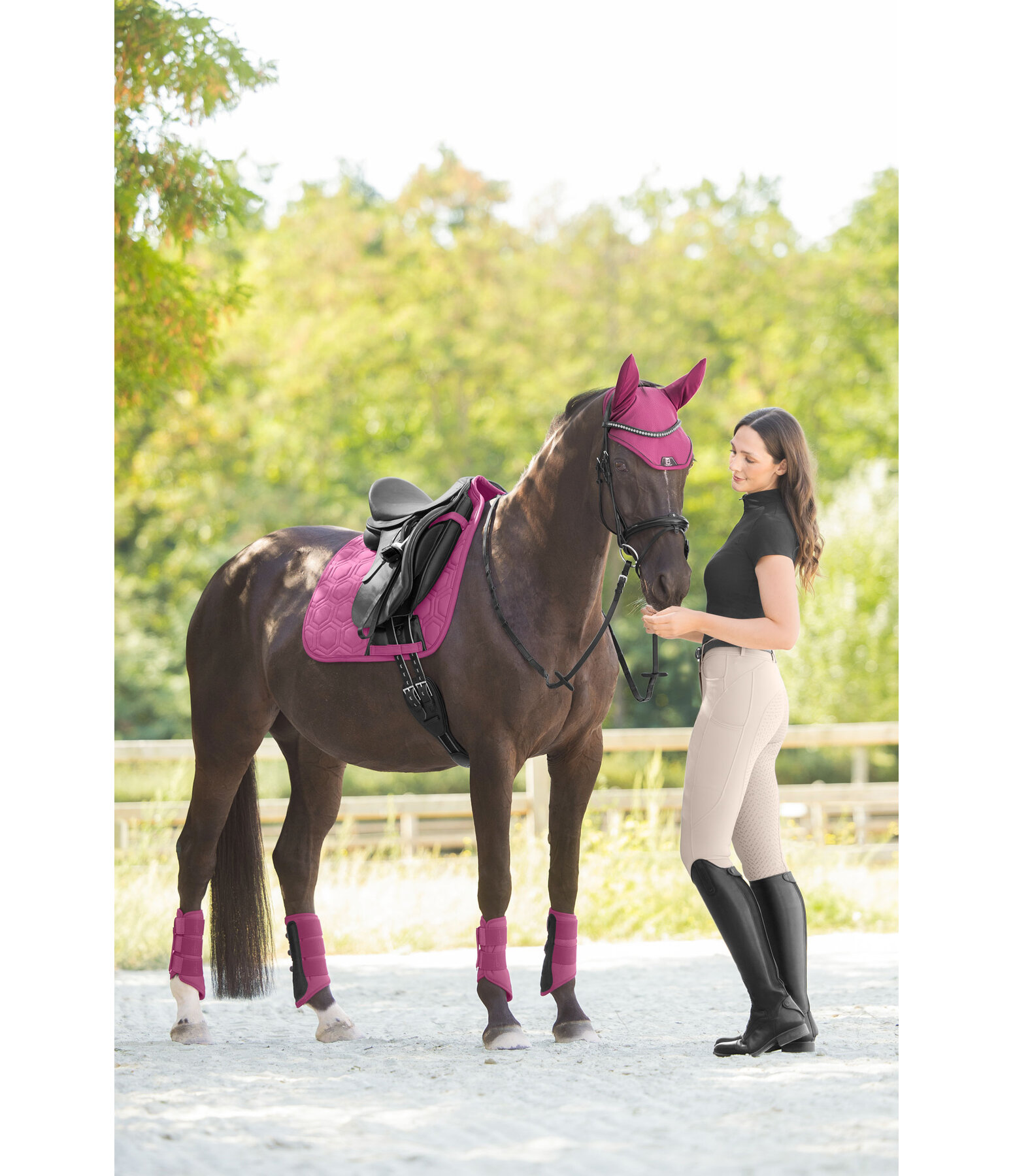 Fliegenhaube Mesh-Technology