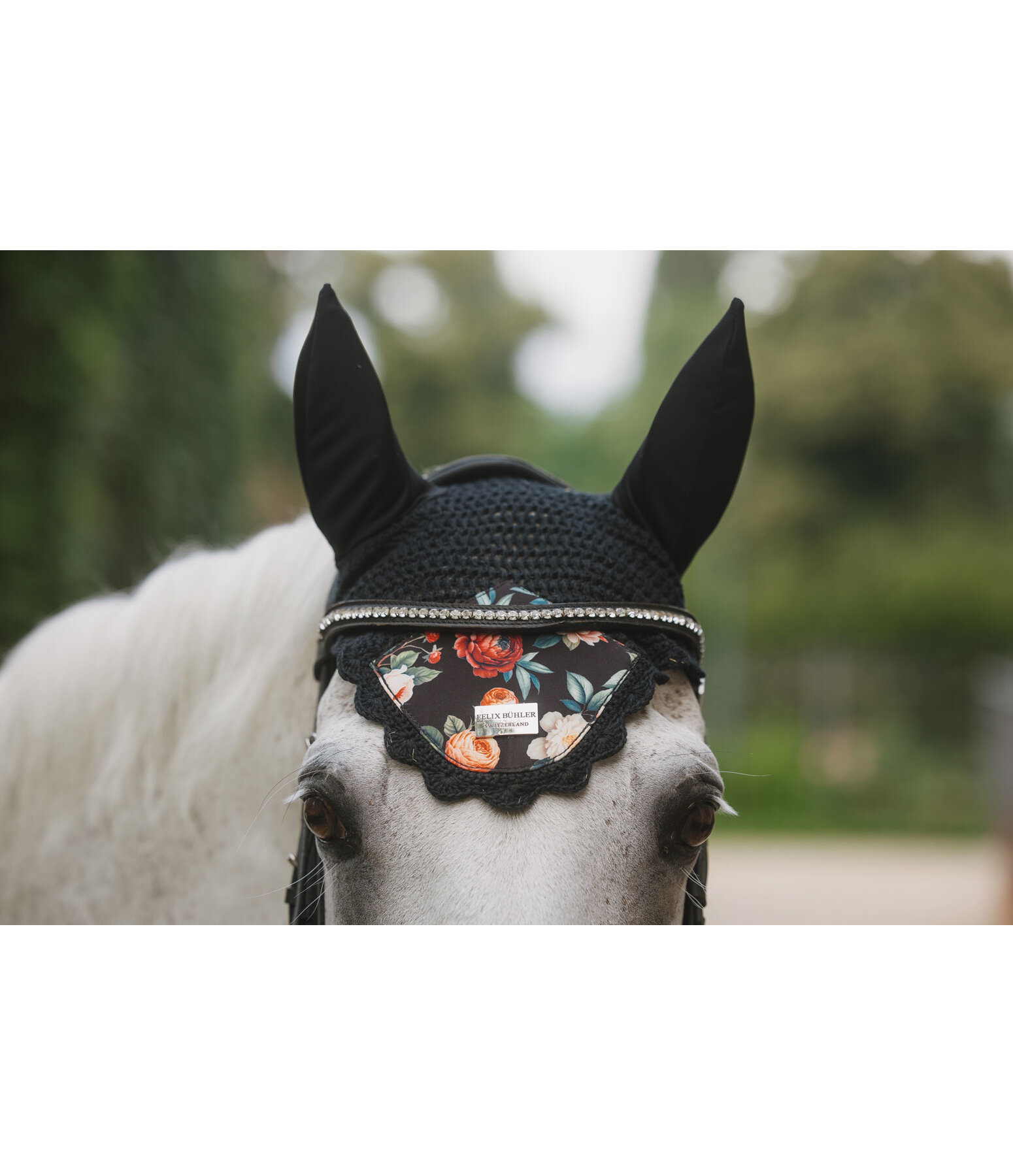 Fliegenhaube Flowers