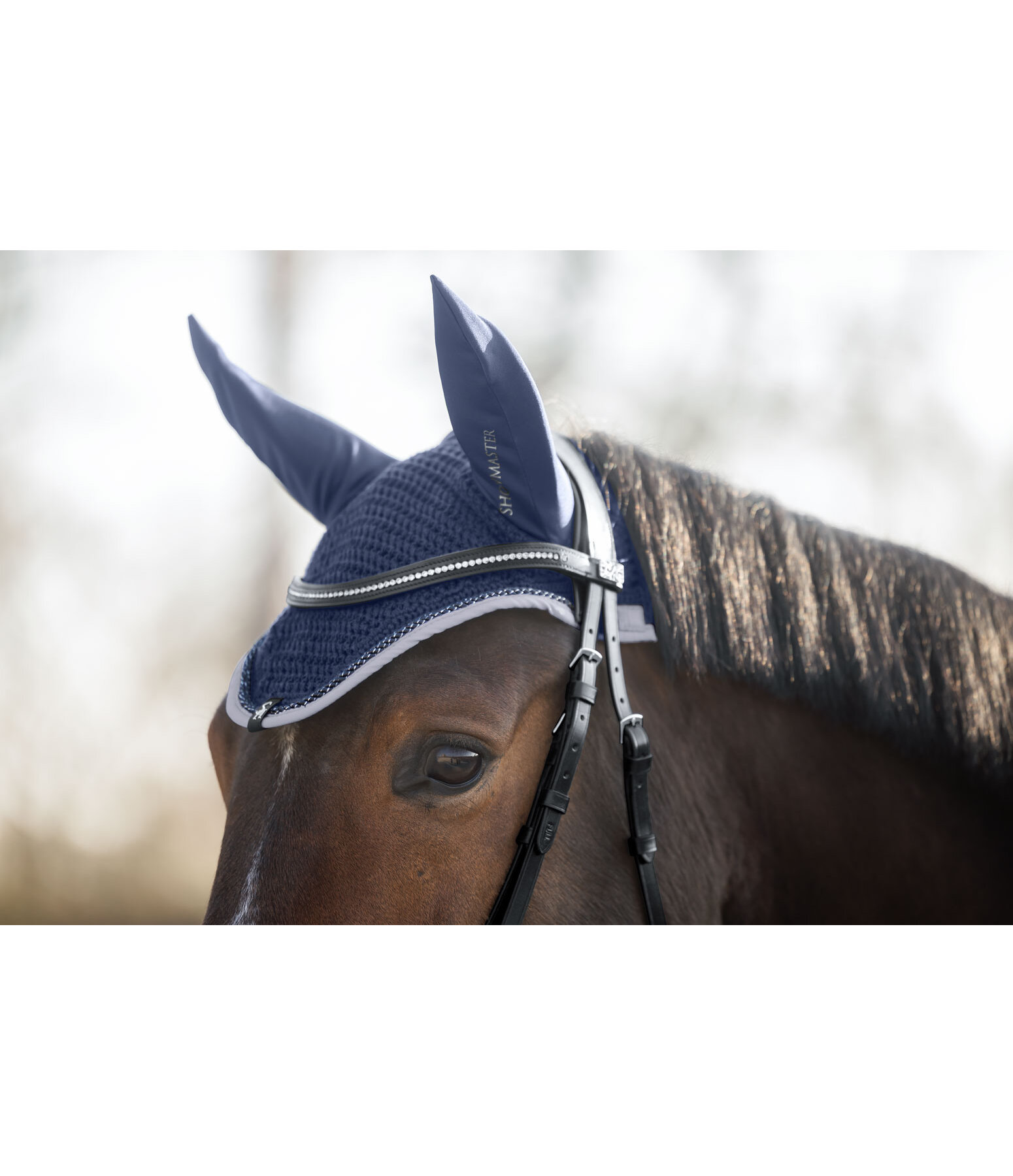 Fliegenhaube Glimmering