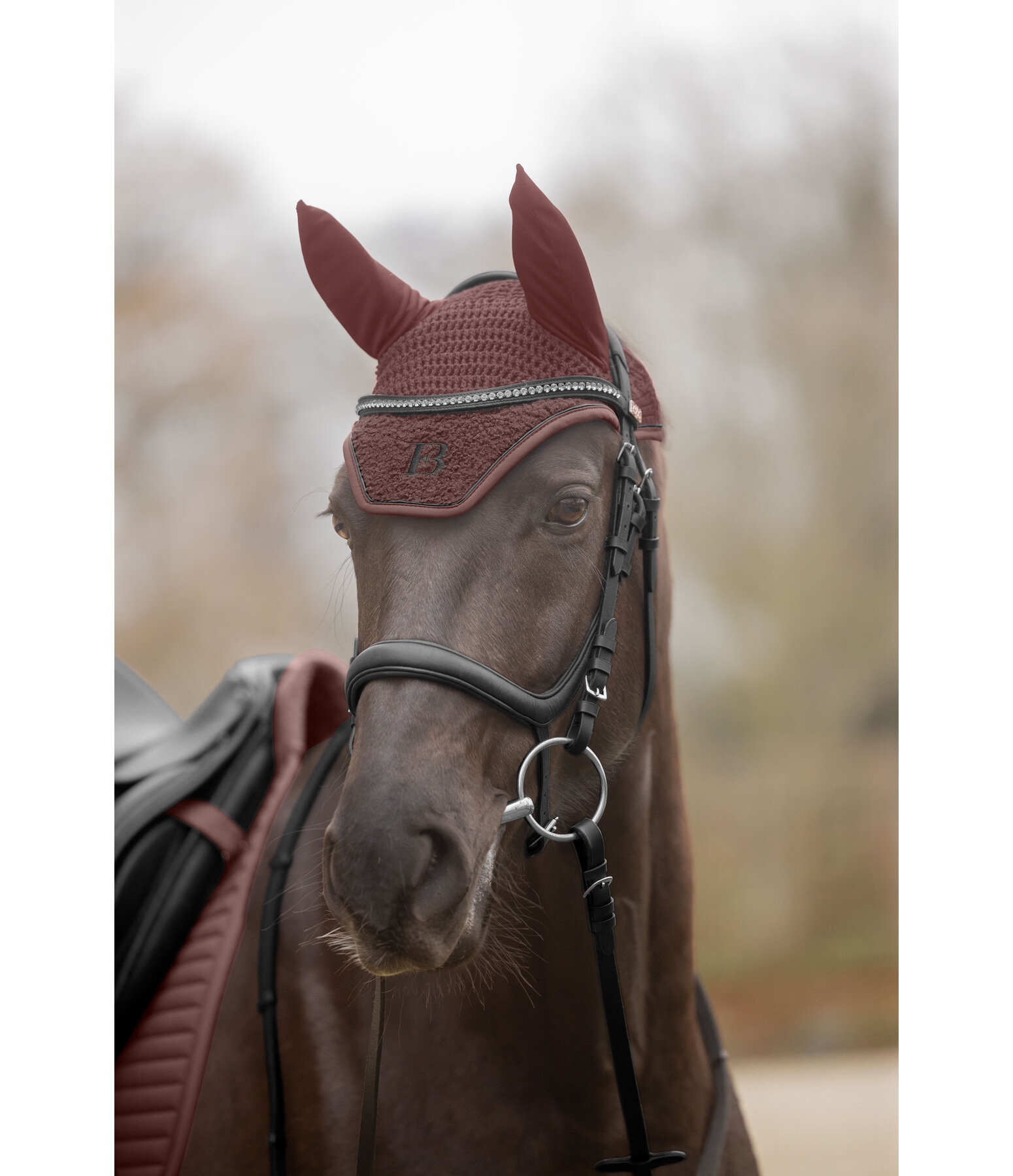 Teddy Fliegenhaube