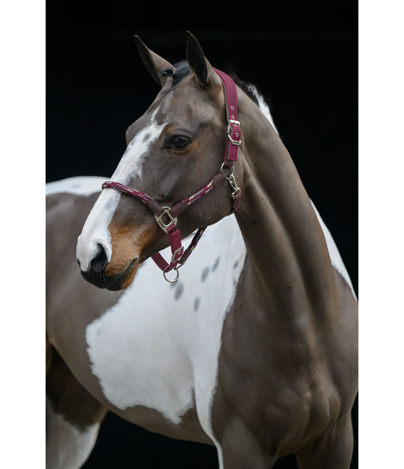 Anatomisches Halfter Sophistication